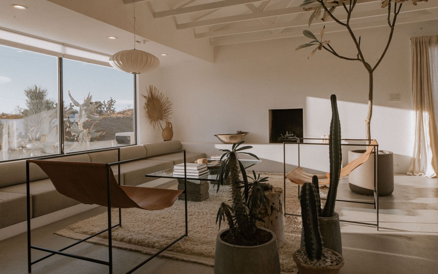 Joshua Tree 21