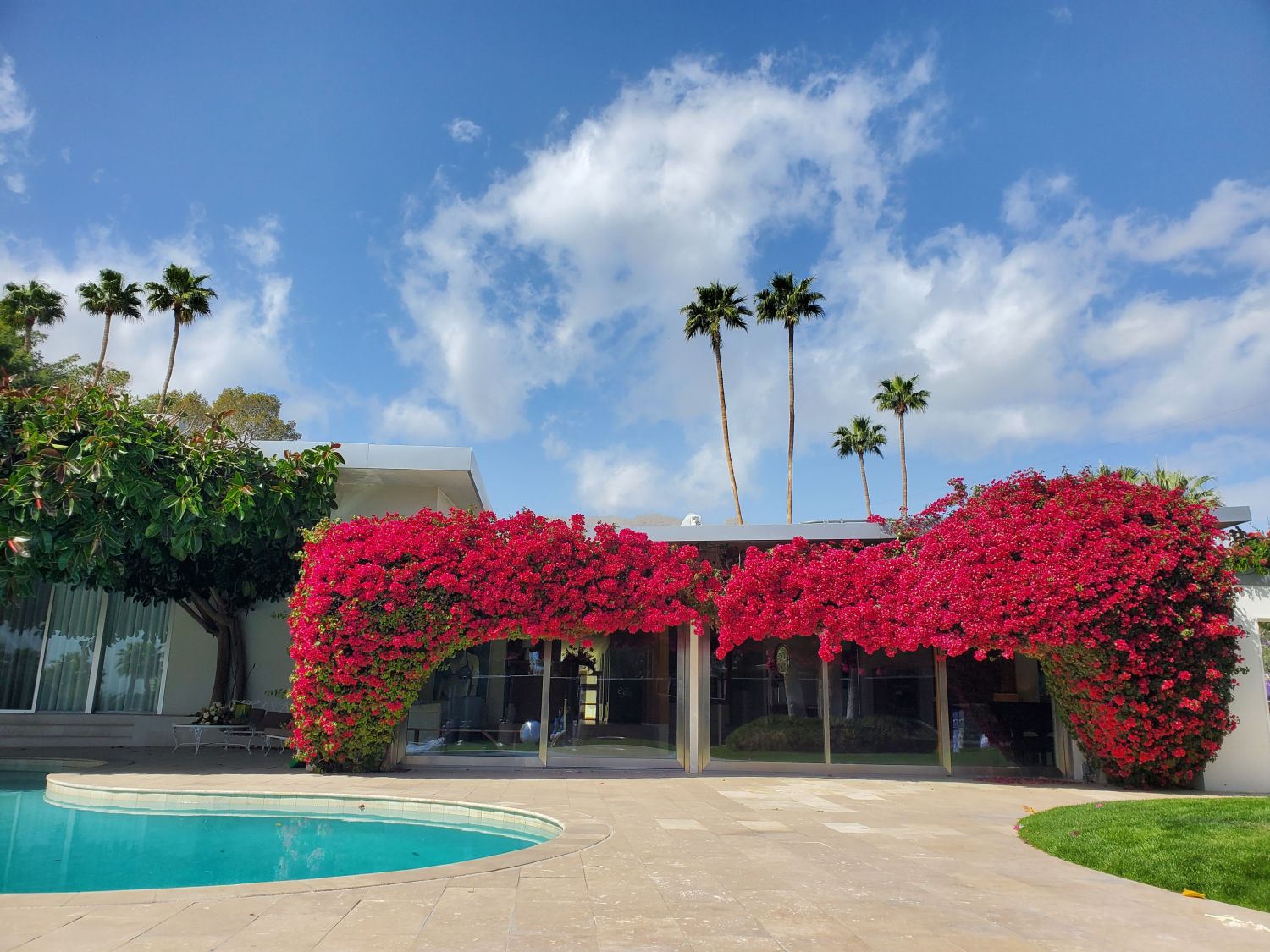 Palm Springs 51