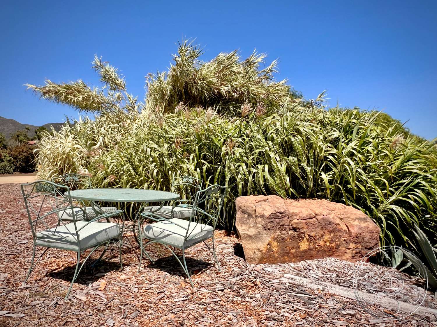Zen Garden | Malibu Filming and Photography Location