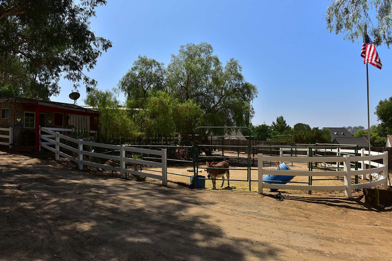 Ranch 41