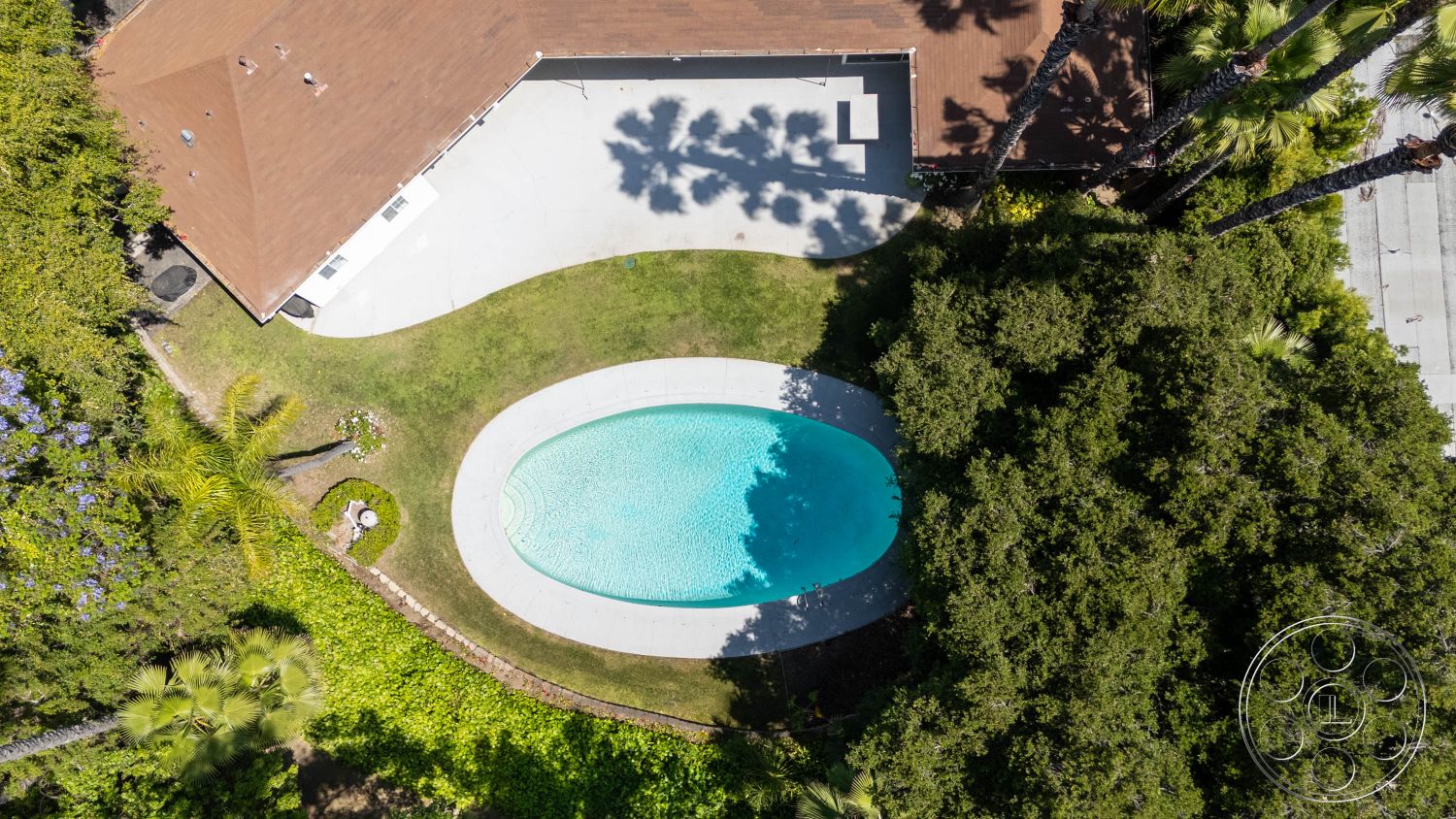 MCM 23 - natural light, mid-century modern, exterior, landscaped garden, residential, outdoor space, modern architecture, palm trees, concrete patio, pool, relaxed ambiance, private retreat, green lawn, aerial view, tropical landscaping, poolside area, gardening features, curved swimming pool, brown roofing