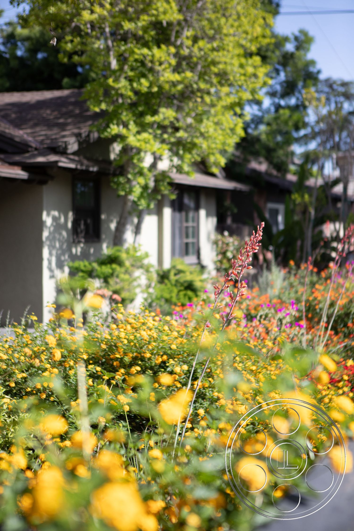 Bungalow 56 - tropical plants, suburban setting, well-maintained front yard, gabled roof, stucco walls, family home, double-hung windows, colorful flower beds, exterior house facade, wood shingles roof, flowering garden landscape, lush green foliage, yellow flowering shrubs, flowering plants in bloom, natural light architecture, rustic charm design