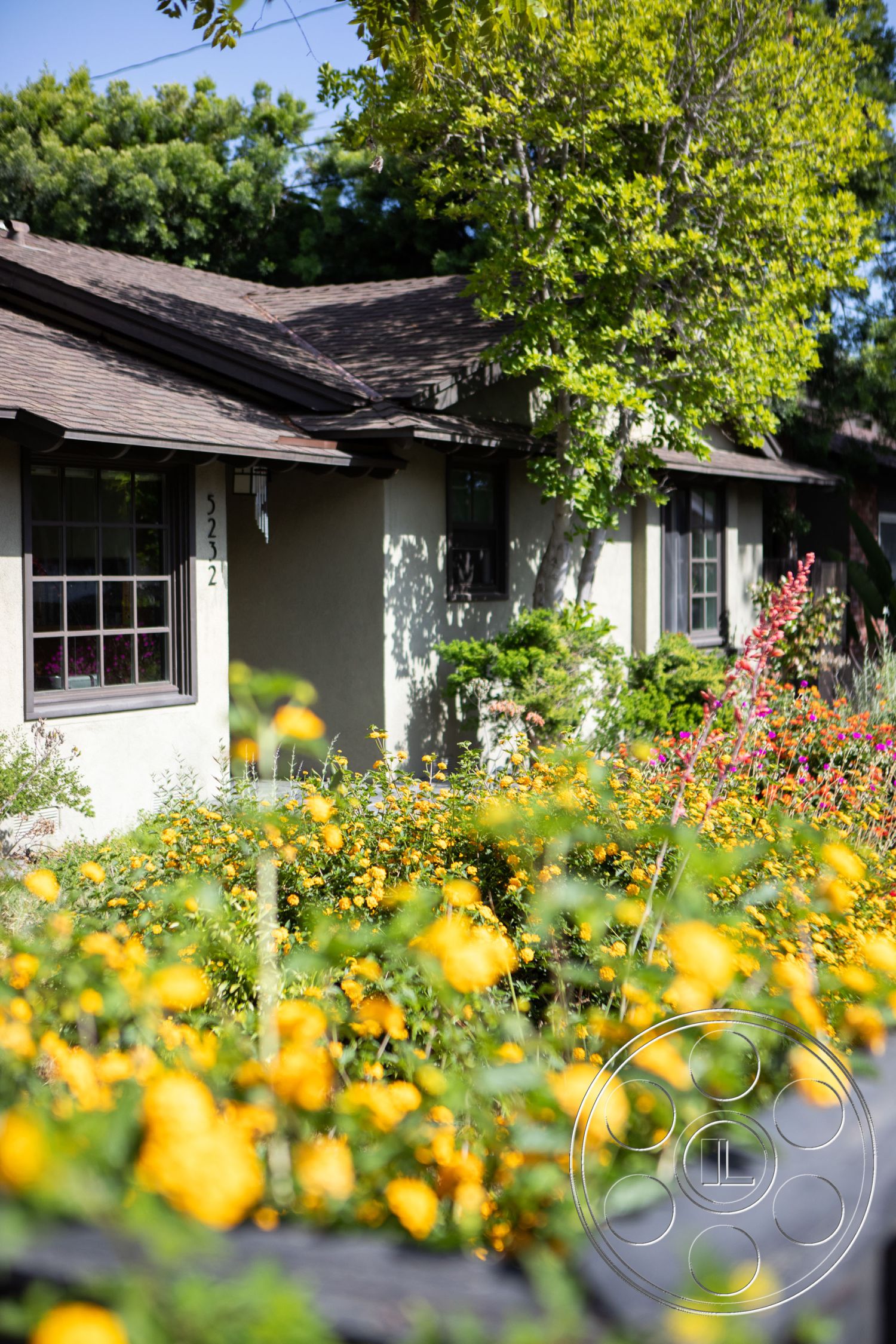Bungalow 56 - exterior, asphalt shingle roof, low-maintenance garden, suburban setting, modern landscape design, double-hung windows, outdoor lighting fixtures, colorful flower beds, green leafy trees, light stucco walls, wooden front porch, framed window trim, rambling pathways, vibrant yellow flowers, inviting front entrance