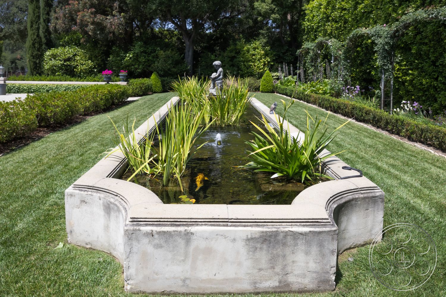 The Regent - well-maintained garden, symmetrical garden design, concrete edging, landscaped garden setting, exterior concrete pond border, rectangular pond shape, lush grass lawn, surrounding garden hedges, decorative plantings, natural water feature, ornamental grasses in water, garden path bordering, garden statue accent, sunlit outdoor area, hardscape and softscape integration