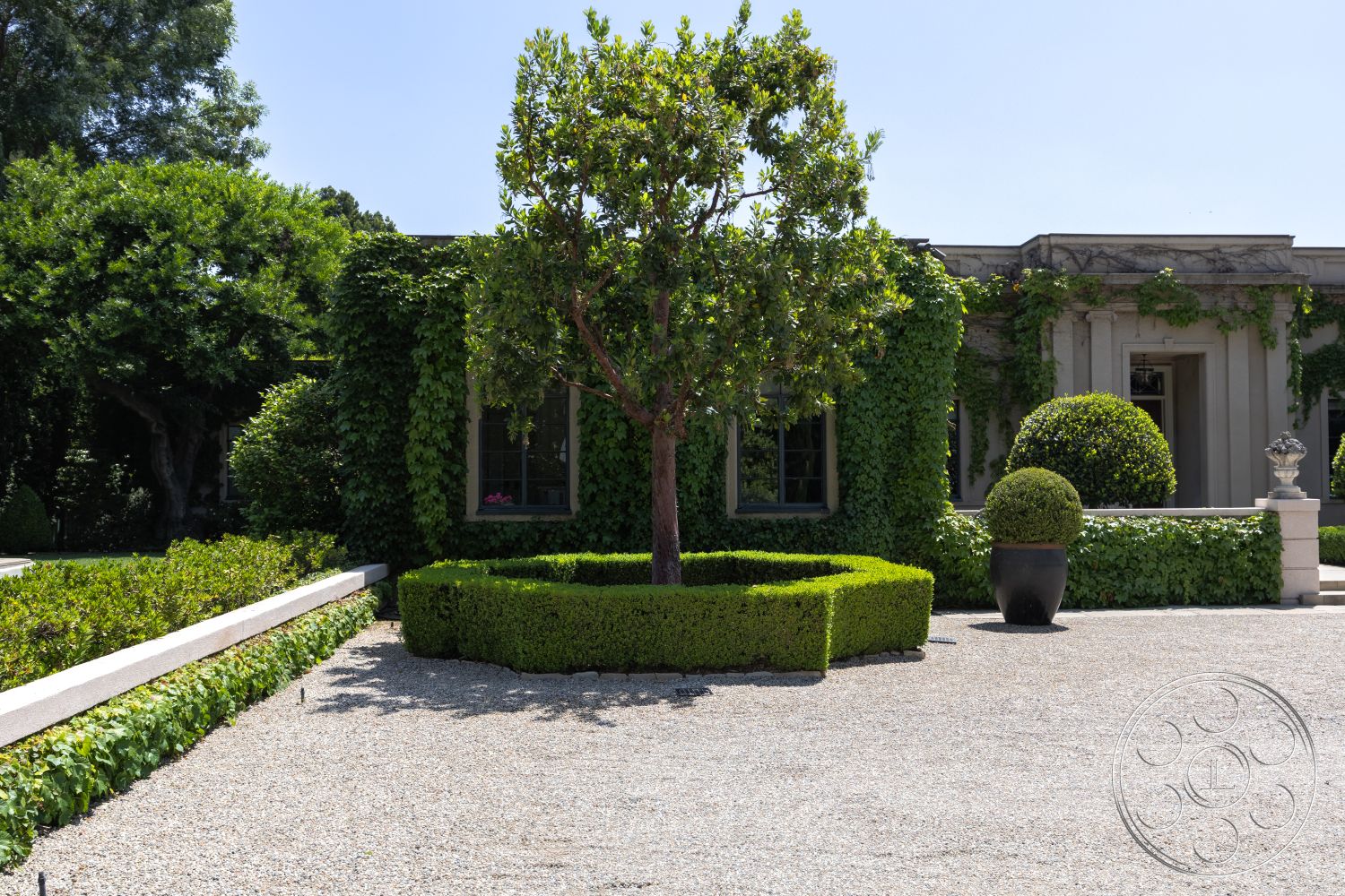 The Regent - large windows, natural stone accents, lush greenery, low-maintenance plants, exterior landscaping, gravel driveway, sunny outdoor space, urban garden setting, stucco home exterior, boxwood hedge border, ivied walls, decorative planter pots, spherical topiary bushes, modern concrete pathway, symmetrical garden layout, pedestrian-friendly entrance, exposed aggregate gravel, softscape and hardscape combination