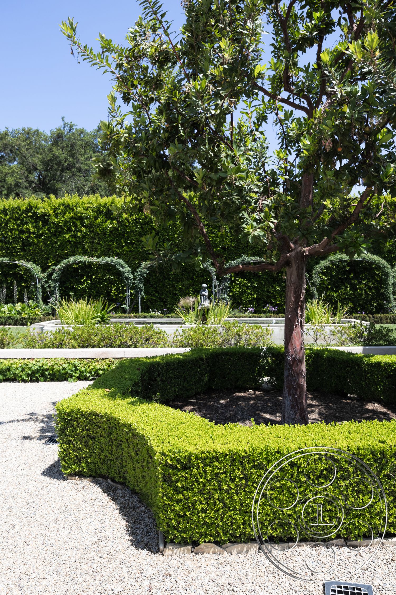 The Regent - landscaped garden, privacy hedge, outdoor relaxation space, garden seating area, curved hedges, urban garden retreat, gravel garden pathway, deciduous tree canopy, manicured green shrubbery, garden with flowering plants, concrete garden border, modern outdoor setting, sunlight-dappled foliage, architectural pathways, blooming plant beds