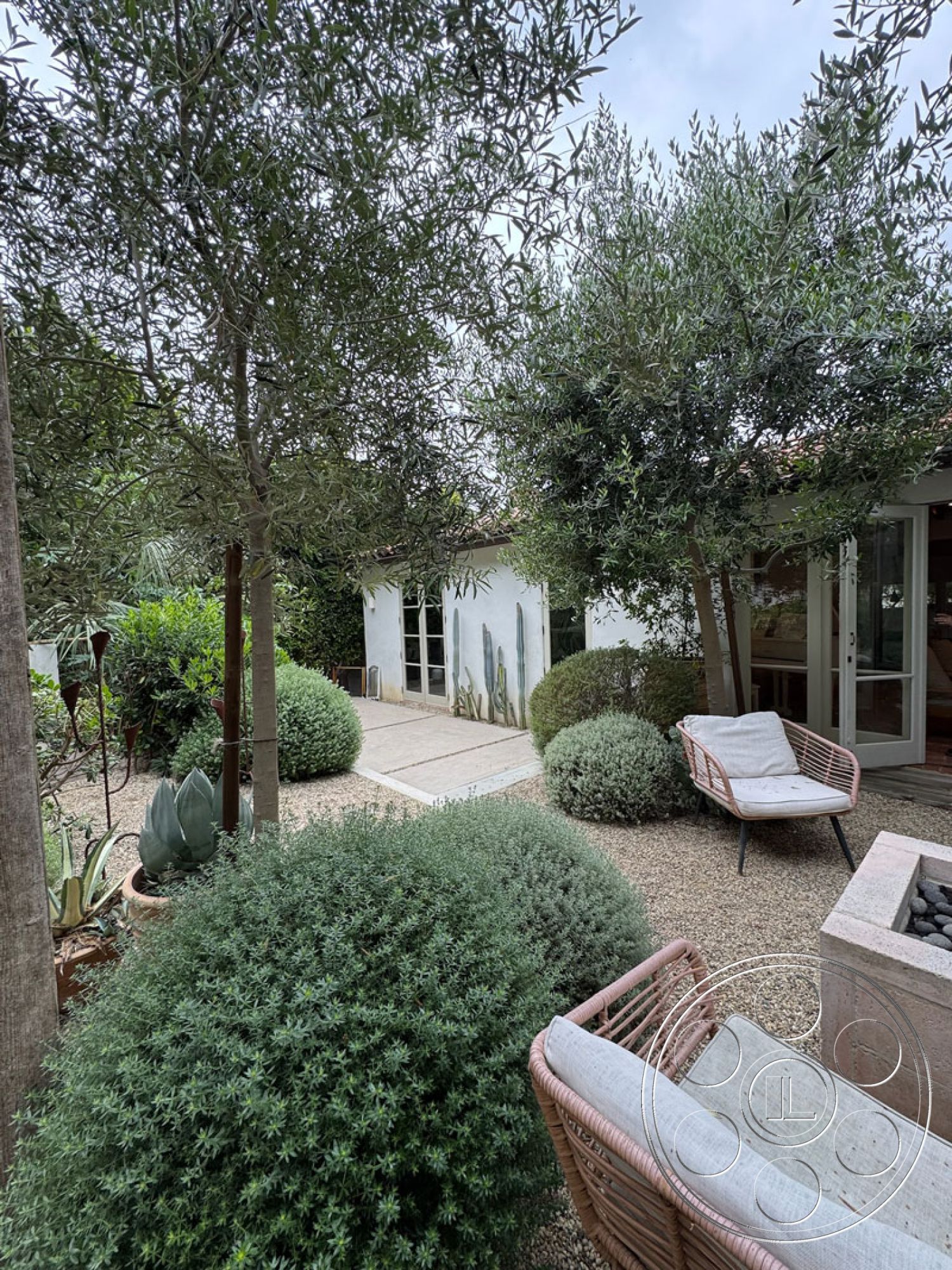 Spanish 165 - white stucco walls, minimalist aesthetic, gravel landscaping, olive trees, urban backyard, modern outdoor seating, circular planters, designed for relaxation, natural light emphasis, exterior garden space, stone patio floor, desert-style vegetation, built-in stone planter, natural stone fire pit, soft green shrubbery, environmentally integrated landscape