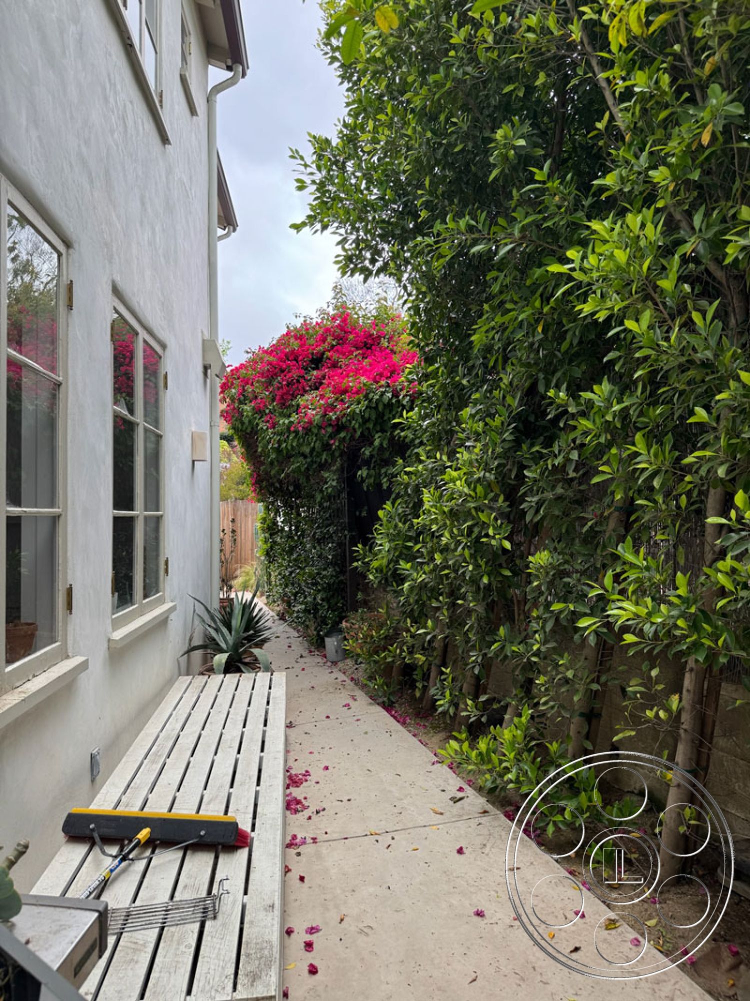 Spanish 165 - landscaped garden, low-maintenance garden, concrete walkway, urban residential setting, white stucco wall, flowering bougainvillea, lush green foliage, natural stone border, tropical plant accents, exterior concrete pathway, wooden slat bench, narrow side yard, garden maintenance tools, coastal climate landscape