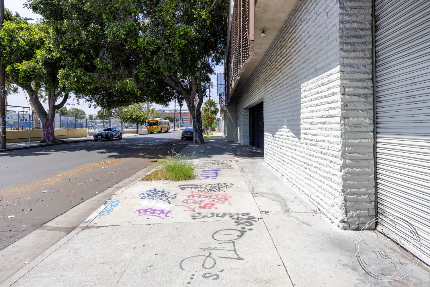 Warehouse 61 - tree-lined street, pedestrian walkway, industrial-style architecture, commercial building exterior, urban street setting, curved sidewalk edges, exposed concrete block walls, textured concrete wall surface, asphalt roadway, concrete sidewalk with graffiti, street tree canopy, metal security shutter, residential district, public transportation accessibility, modern urban ambiance, exterior urban aesthetic