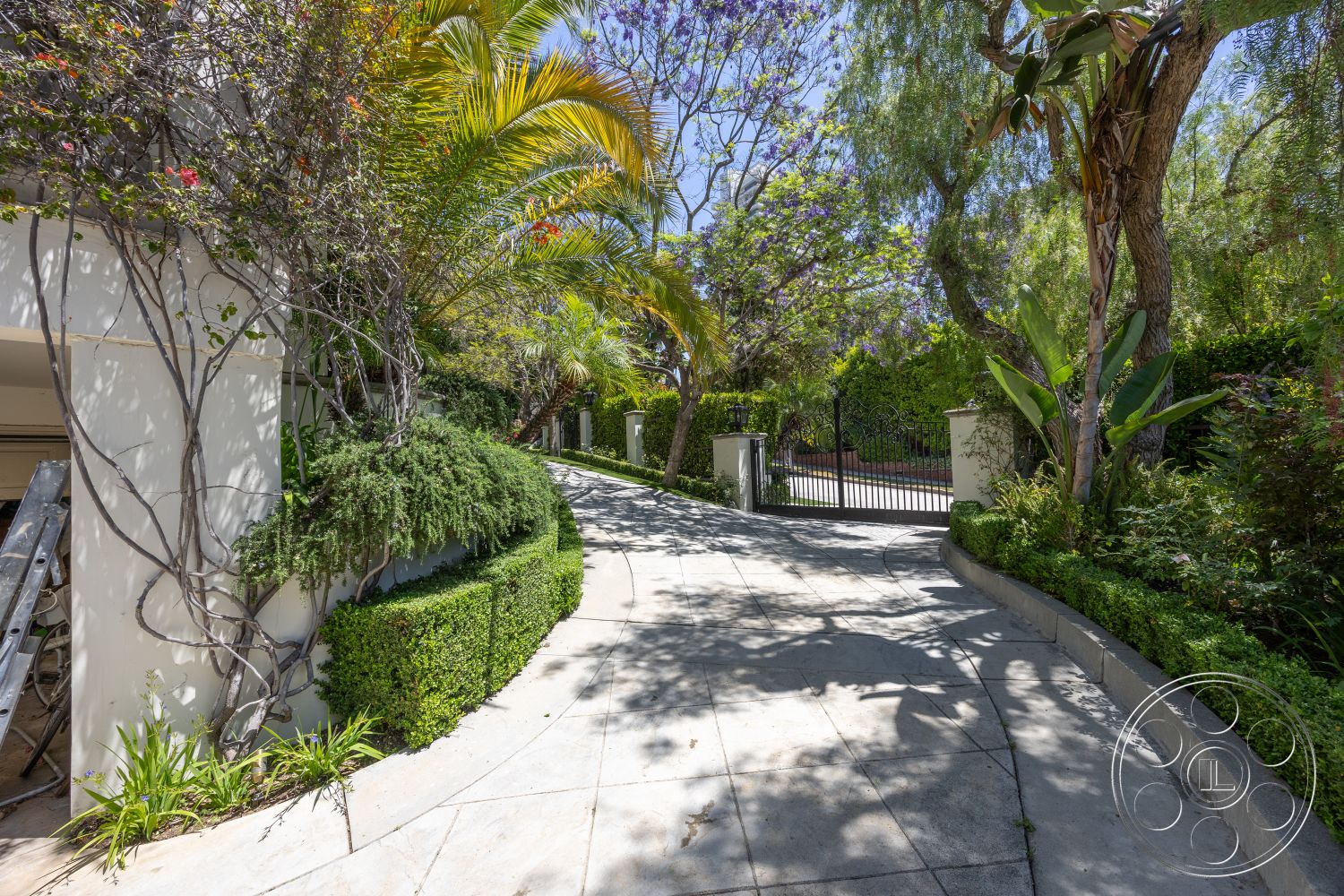 Medit 165 - modern architectural style, vine-covered walls, exterior concrete driveway, curved driveway design, tropical landscape setting, lush greenery border, smooth concrete paving, ornamental gate entrance, mature palm trees, hedge garden landscaping, shadow play from foliage, gated entryway, serene outdoor environment, well-maintained garden area