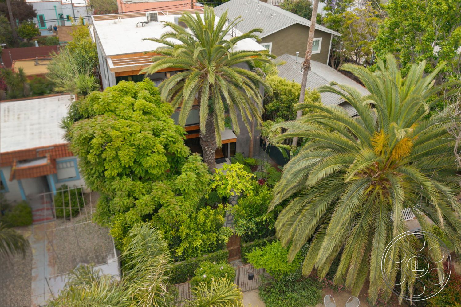 Modern 508 - exterior, palm trees, outdoor seating area, sloped roof, gravel walkway, modern architectural style, green shrubbery, concrete driveway, tropical landscaping, stucco walls, drought-resistant plants, two-story home, urban garden setting, wood deck patio, paneled wood siding, courtyard arrangement, city neighborhood view