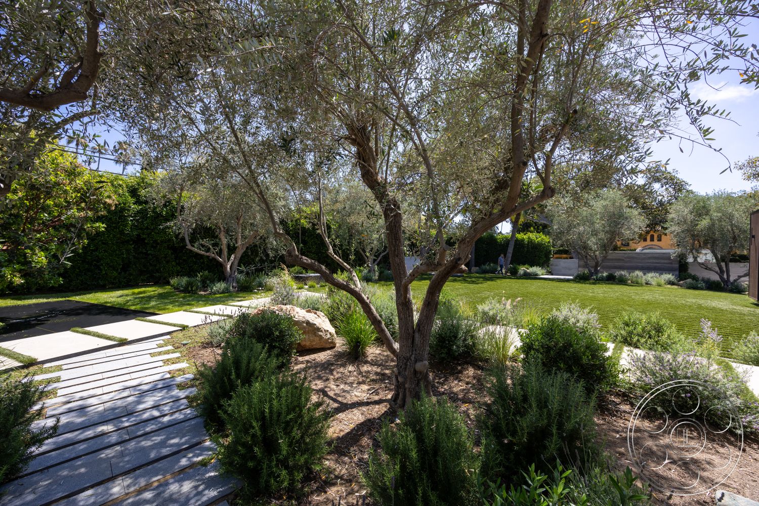 Modern 510 - exterior, outdoor living space, lush green lawn, paved walkway, olive trees, suburban backyard, modern garden design, gravel ground cover, concrete stepping stones, natural stone boulders, landscaped garden path, rock garden feature, desert landscape plants, textured soil beds, low-maintenance vegetation, perennial garden borders, structured outdoor greenery, sunlit garden setting