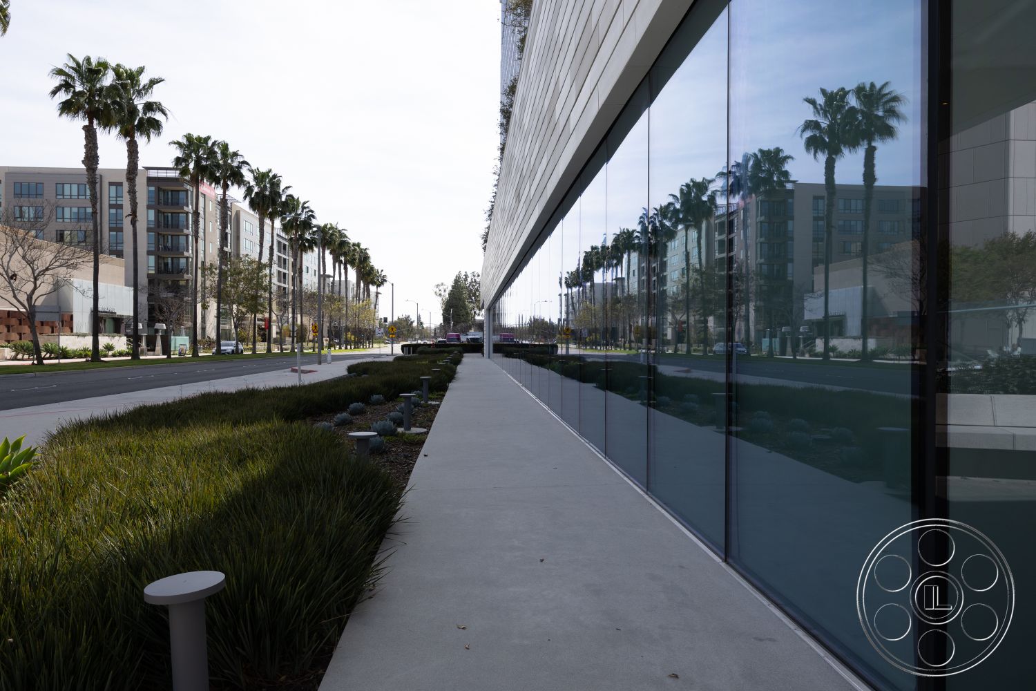 Museum 4 - low-maintenance landscaping, smooth concrete surface, urban setting, planted greenery, commercial space, modern architectural style, concrete walkway, city street view, landscaped garden bed, exterior glass wall, reflective glass facade, palm tree lining, sidewalk lighting fixtures, multi-story residential buildings, minimalistic exterior design