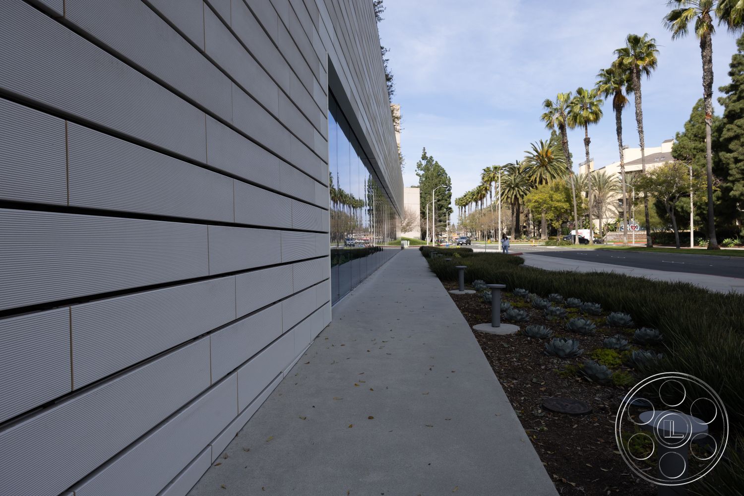 Museum 4 - urban setting, modern architectural style, sustainable building materials, concrete sidewalk, landscaped garden beds, floor-to-ceiling glass windows, exterior wall cladding panels, horizontal panel siding, low-maintenance succulents, palm trees lining the street