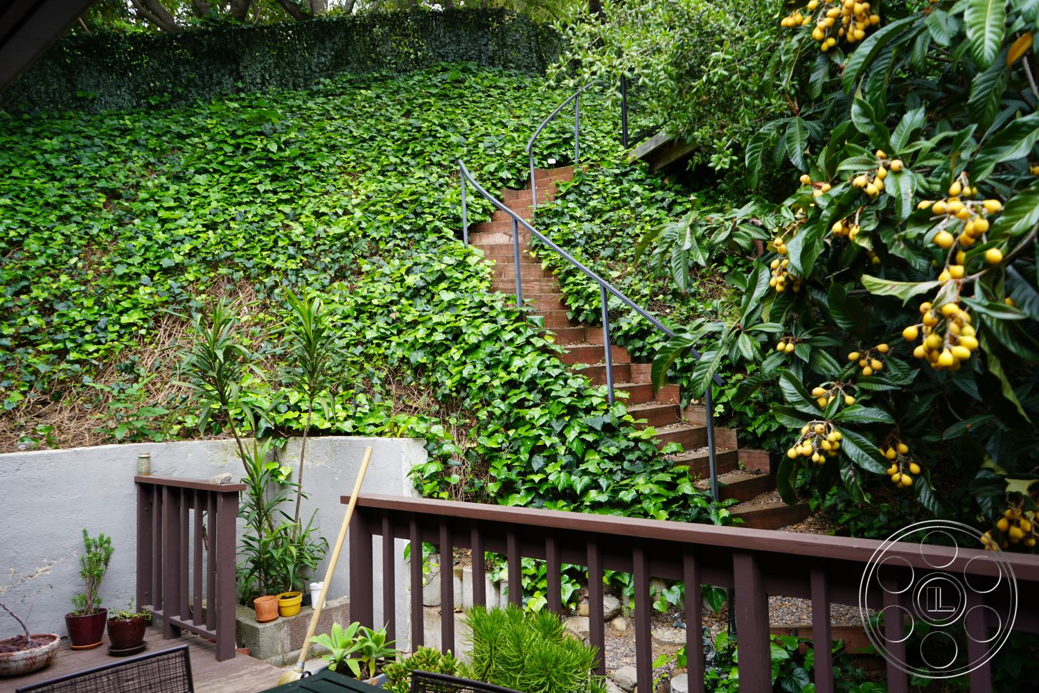 MCM 25 - potted plants, brick steps, urban garden, natural setting, tropical foliage, garden patio, wooden railing, concrete planter, stone retaining wall, curved staircase, multi-level landscaping, floral landscaping, exterior wooden deck, stainless steel handrail, lush green ivy ground cover, rustic backyard