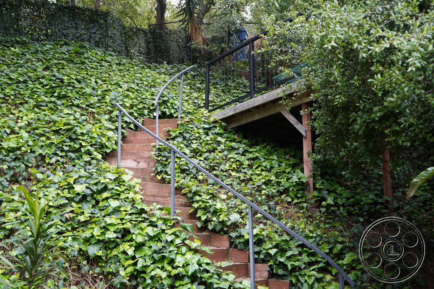 MCM 25 - wooden deck platform, metal handrails, exterior garden setting, eco-friendly design elements, curved staircase design, wooden stair steps, landscaped hillside environment, lush ivy ground cover, natural outdoor aesthetics, vegetation surrounding steps, textured wooden railing, stepped path ascending, integrated into nature, rustic outdoor staircase, supportive landscaping