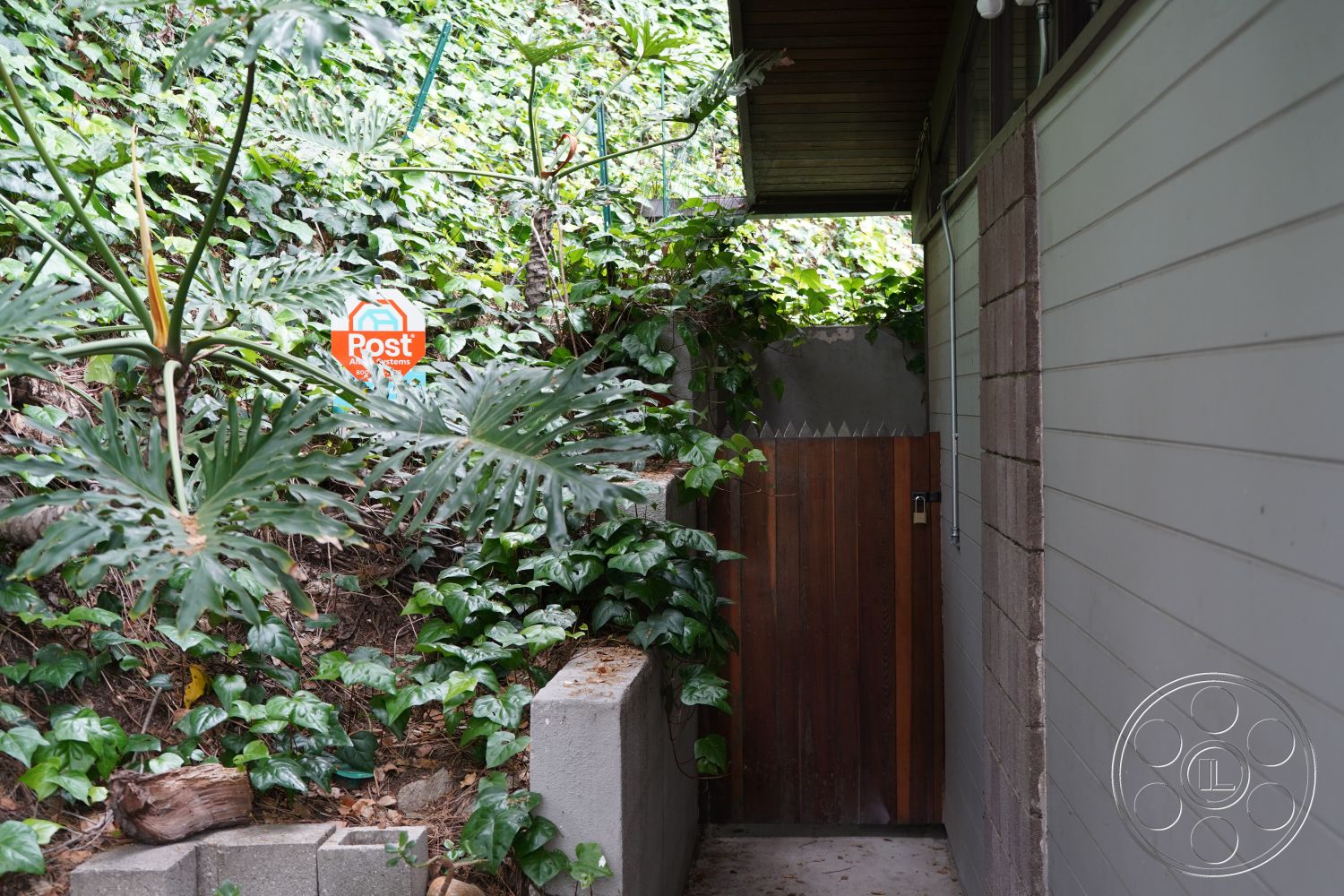 MCM 25 - exterior, tropical foliage, wooden gate, horizontal wood siding, lush green landscaping, textured concrete block walls, suburban residential setting, plant-filled pathway, natural stone path edging, surrounded by ivy plants