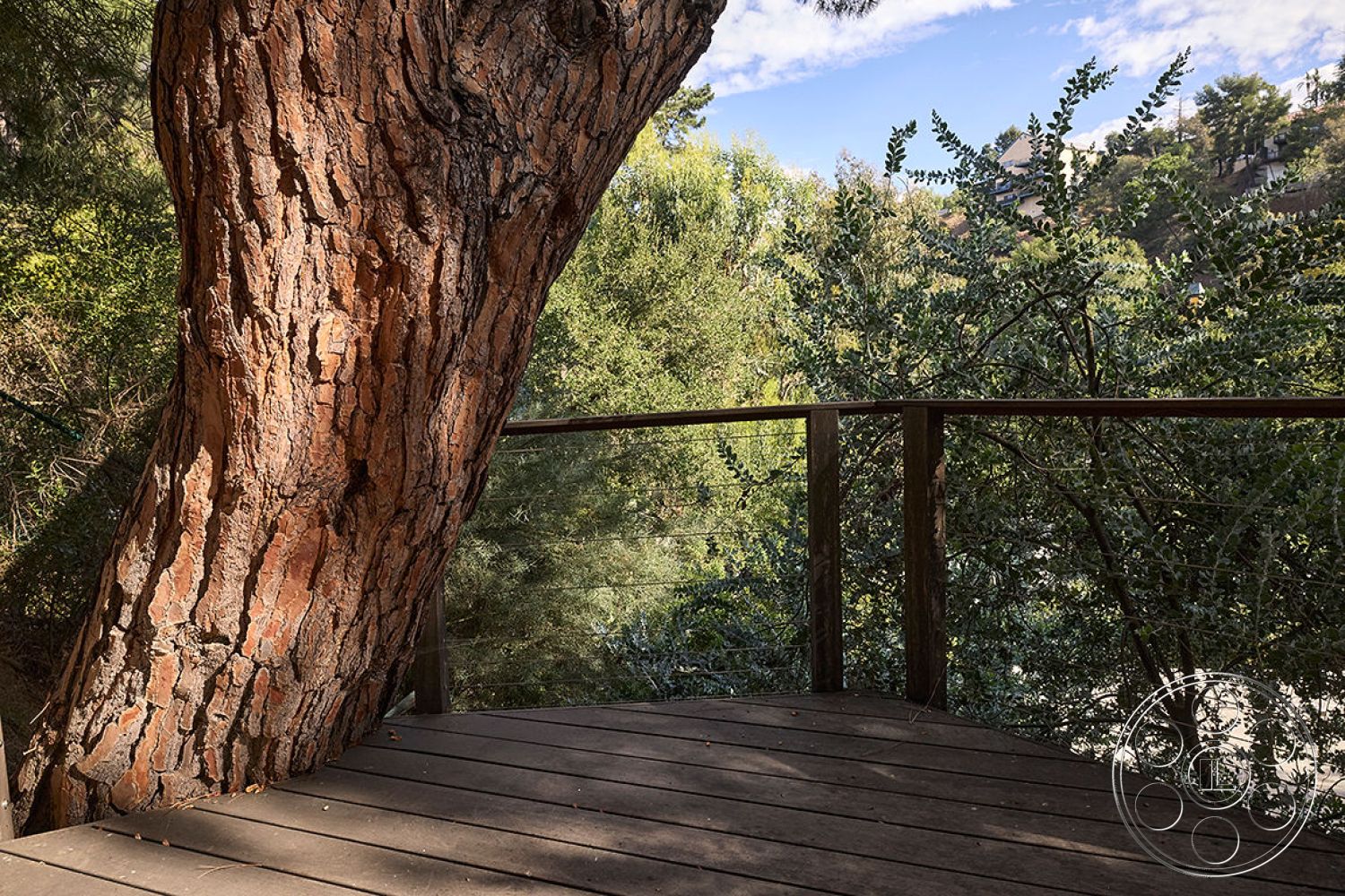 MCM 26 - surrounding greenery, natural wood railing, sunlit outdoor area, rustic outdoor space, exterior deck with wood planks, rounded tree trunk, landscape setting with dense foliage, tree-integrated architecture, open-air experience, environmentally integrated construction