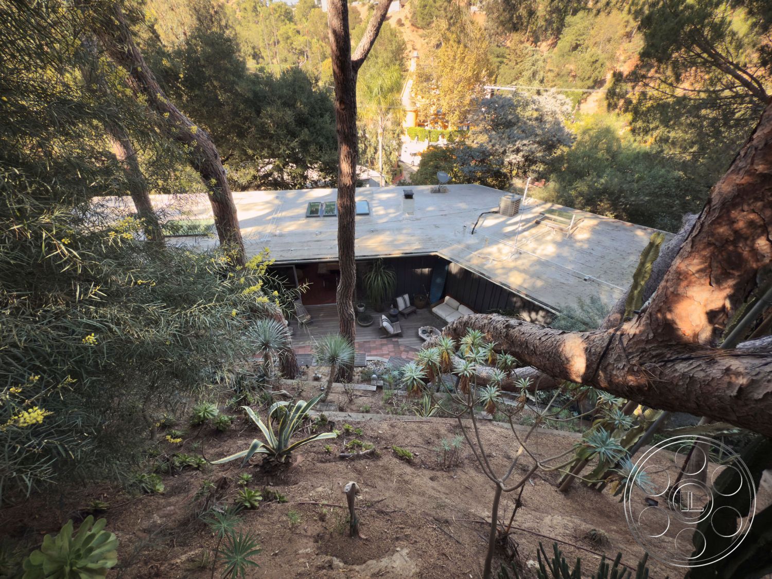 MCM 26 - exterior, large glass windows, surrounded by trees, open-air feel, drought-resistant landscaping, flat roof design, contemporary architectural style, rustic outdoor decor, rectangular outdoor seating area, tiered garden beds, wood siding exterior, urban forest setting, natural light through skylights, stone patio area, natural stone landscaping, elevated hillside property, integrated with nature