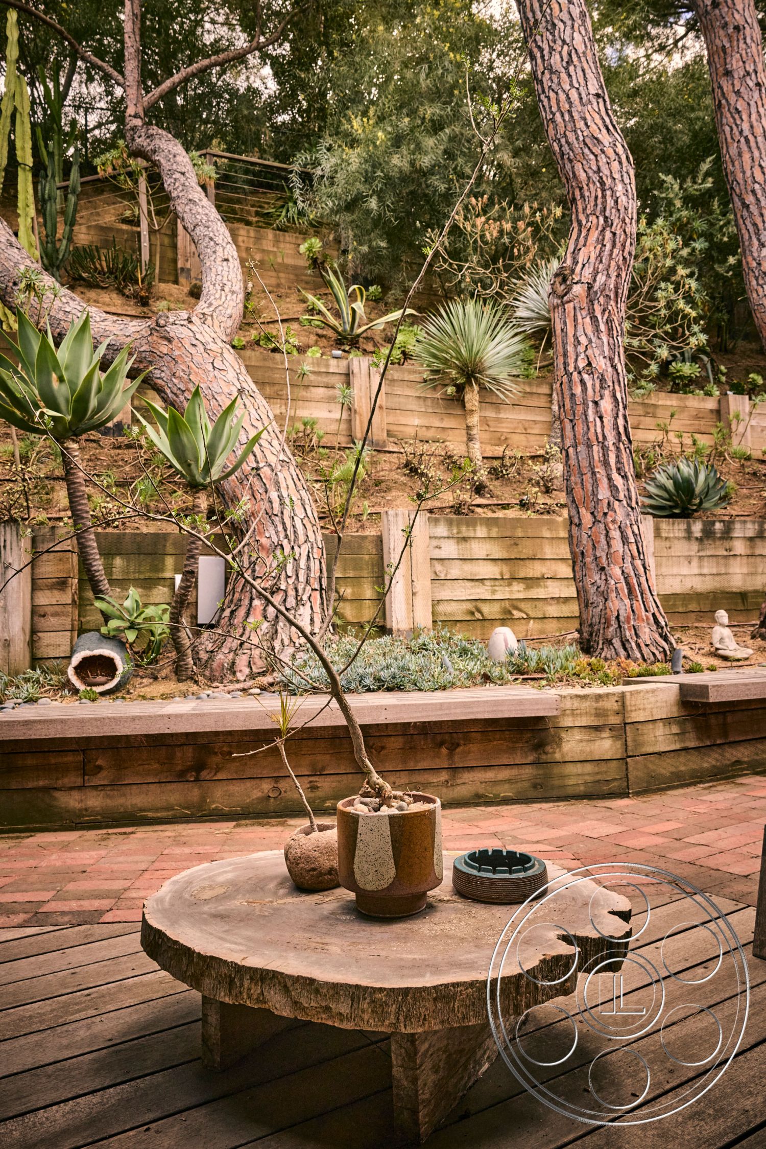 MCM 26 - exterior, outdoor seating area, landscaped hillside, natural wood decking, succulent garden, stone planters, curved tree branches, native drought-resistant plants, sloped garden design, rustic outdoor living space, textured wooden retaining wall, rough-hewn wood coffee table, earth-toned garden, decorative ceramic pots, modern naturalistic architecture, highly textured surfaces, verdant foliage backdrop