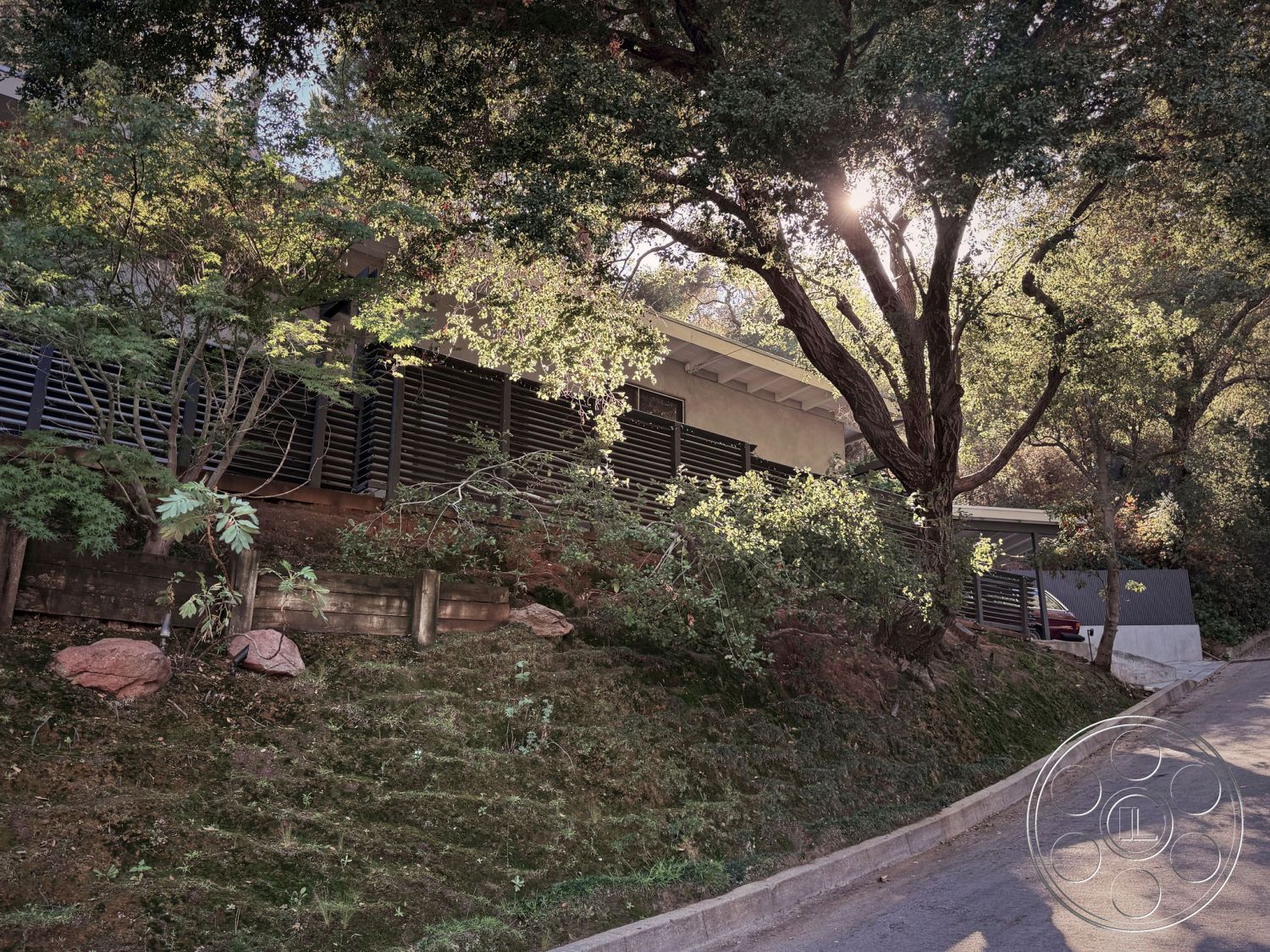 MCM 26 - exterior, natural stone accents, mature trees, sloping terrain, modern architectural style, landscaped hillside, sunlight filtering through trees, concrete retaining wall, lush greenery surroundings, urban hillside home, large overhanging eaves, low maintenance landscaping, wood slat privacy fencing, driveway with gravel surface, contemporary exterior finishes, indigenous plant landscaping