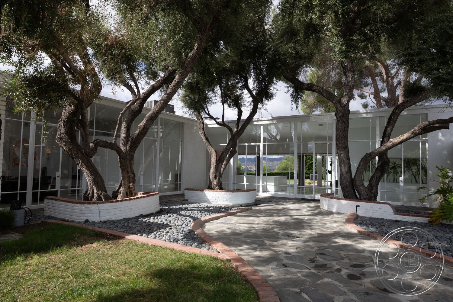 Sinatra House - outdoor living space, open air garden space, exterior landscape design, lush green grass lawn, modern minimalist architecture, large glass windows for natural light, contemporary home entrance, flagstone walkway with circular design, brick border around plant beds, white painted brick retaining walls, multiple olive trees in courtyard, stone ground cover with gravel accents, natural stone path leading to entrance, suburban courtyard setting