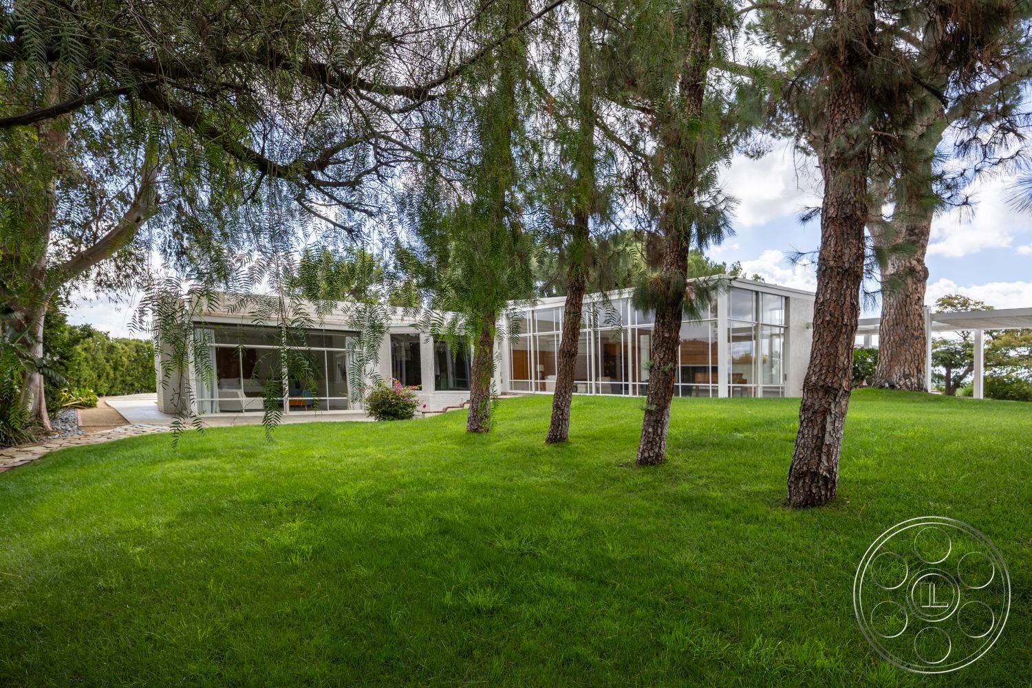 Sinatra House - open floor plan, large windows for natural light, outdoor living space, modern architectural style, concrete driveway, views of greenery, flat roof design, exterior glass wall system, wooden deck patio, minimalist facade, native landscaping, rectangular shaped home, lawn area with grass, surrounding trees for privacy