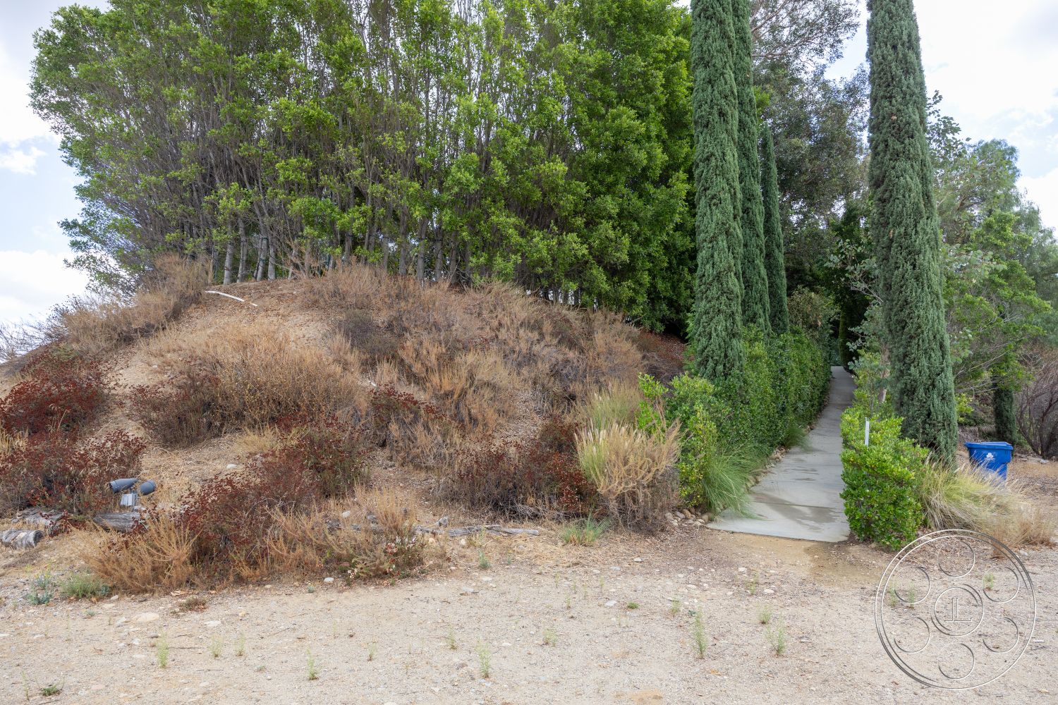 Sinatra House - landscaped garden, bushes and shrubs, concrete walkway, sustainable landscaping, drought-resistant plants, natural hillside setting, exterior pathway, cypress trees lining the path, dry grass ground cover, urban hillside
