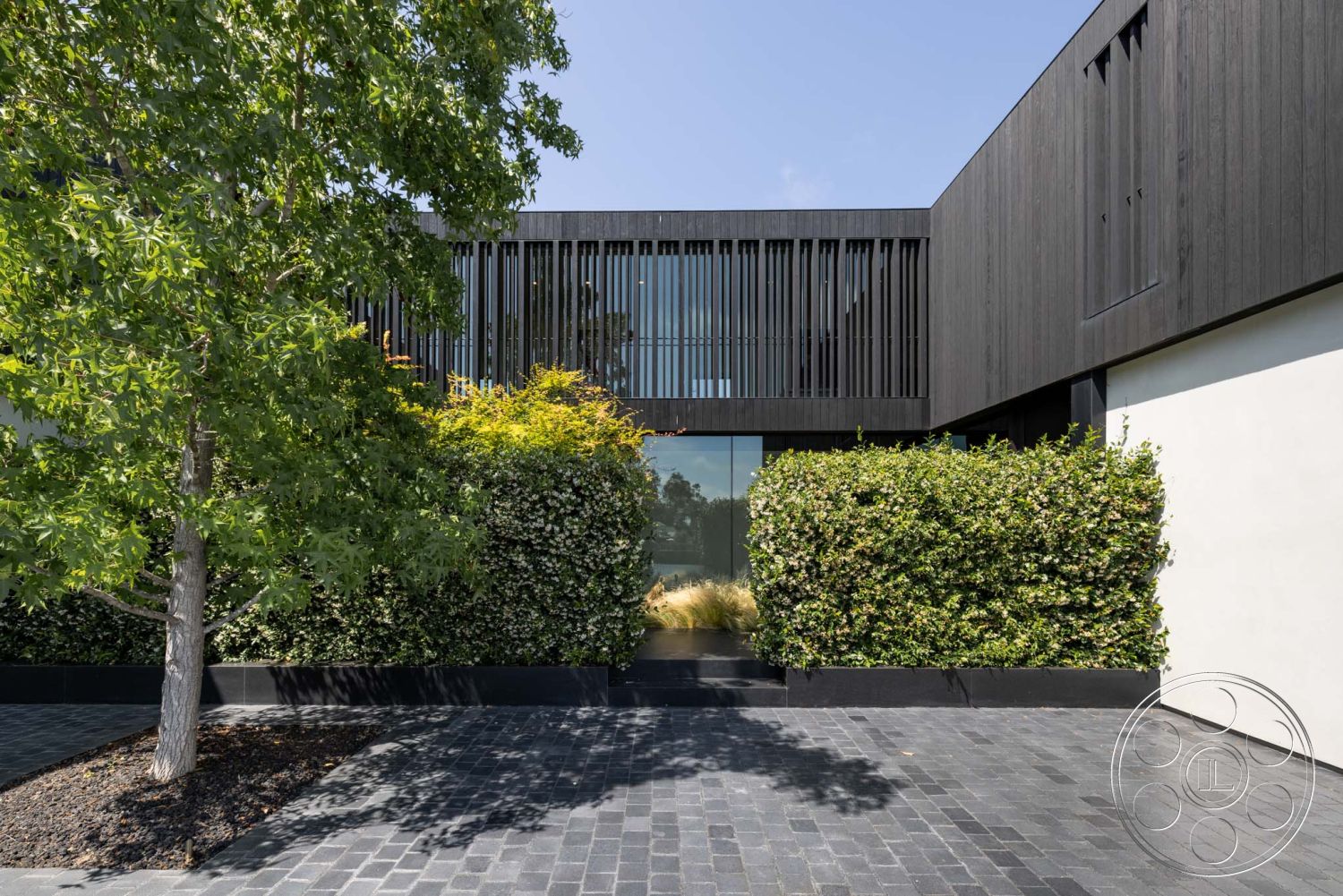 Modern 513 - large windows, exterior, paved driveway, low-maintenance landscaping, minimalist design, urban setting, sustainable materials, modern architectural style, open outdoor space, curved driveway, concrete walkway, geometric forms, tree-lined property, black wood cladding, glass front entry, slatted wood screens, landscaped hedge