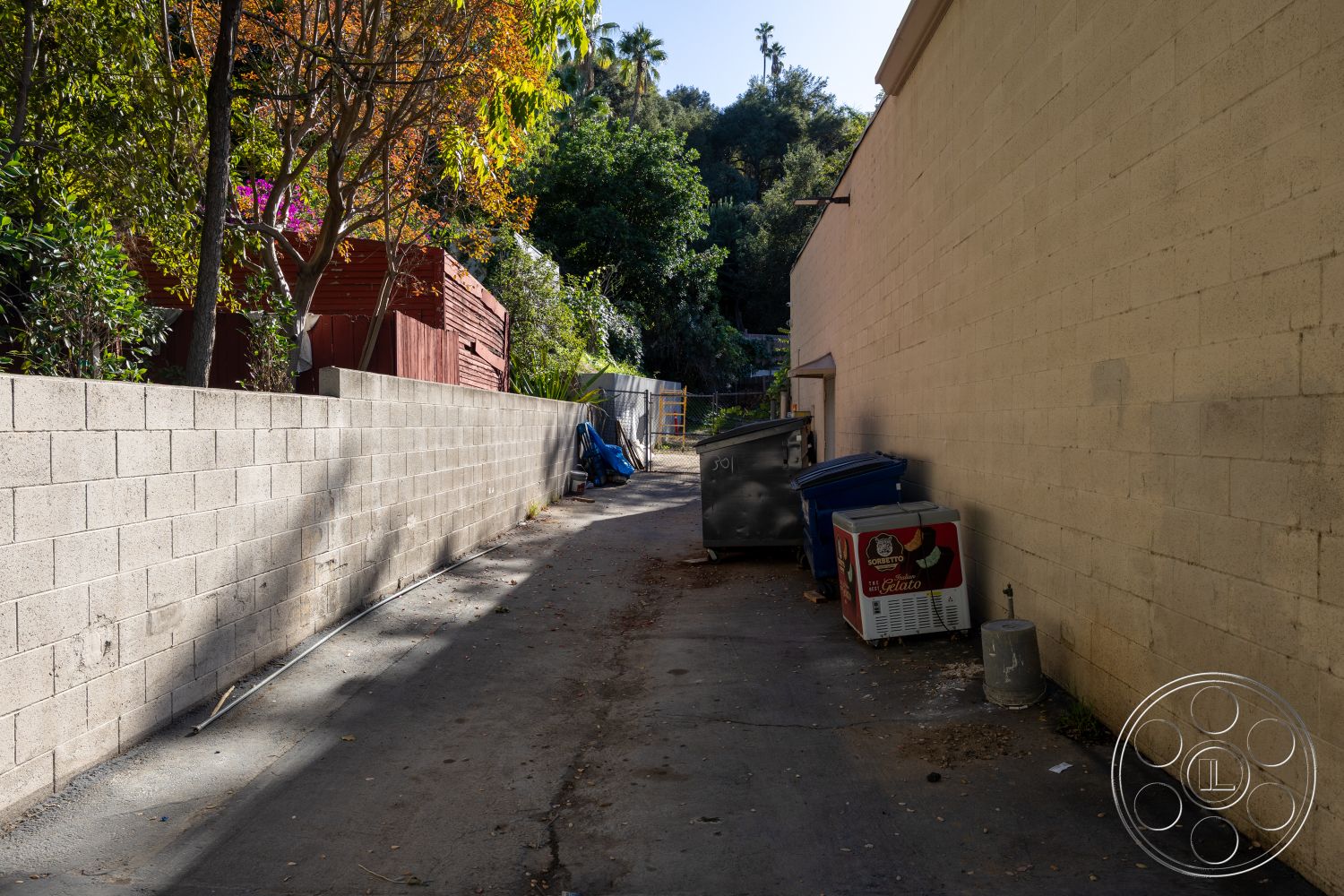 Shop 127 - exterior concrete block walls, wooden shed structure, exterior gravel alleyway, surrounding dense greenery, utility area with dumpsters, residential urban setting, trees with seasonal foliage, narrow alleyway access, shaded by overhanging trees