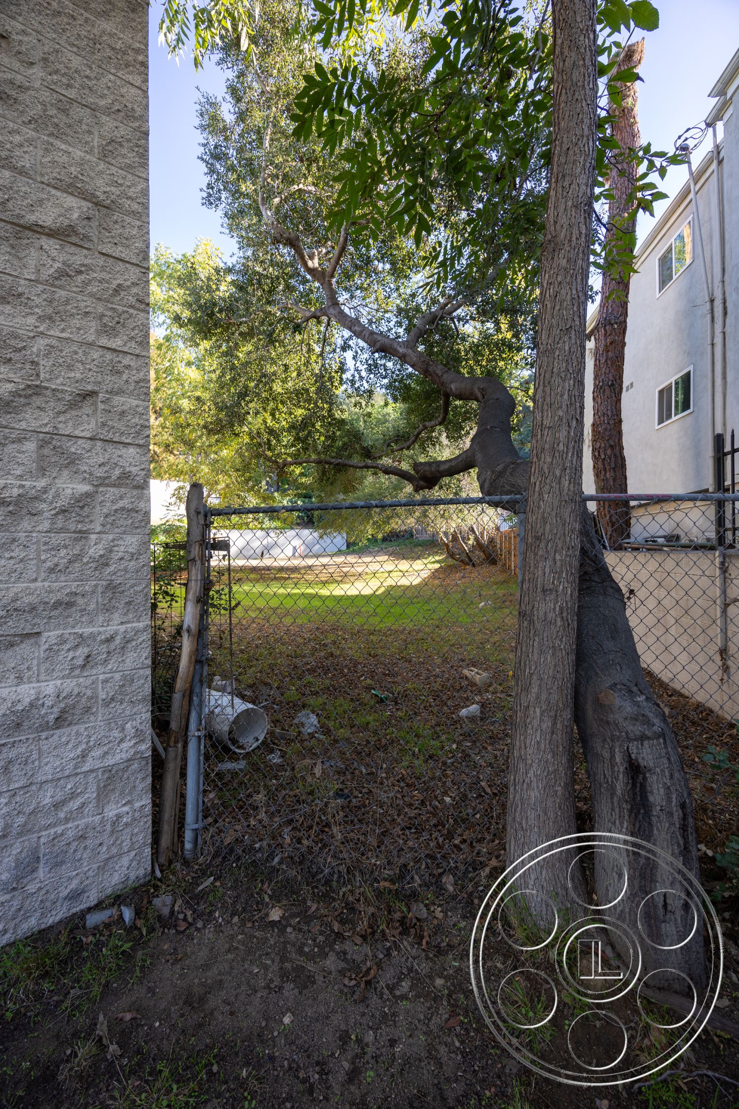 Shop 127 - natural light, exterior, concrete block walls, landscaped yard, mature trees, grassy area, urban backyard, chain link fence, dirt ground cover, adjacent building