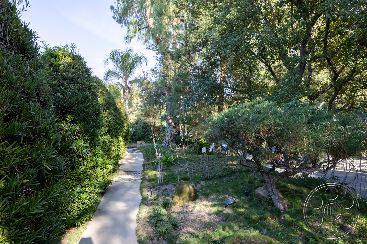 MCM 27 - natural stone accents, lush greenery, tall palm trees, concrete walkways, landscaped garden setting, curved garden path, sunny outdoor environment, native landscaping, exterior pathway, hedged privacy plants, sculptural bonsai trees, gravel garden beds, varied plant foliage, shaded garden areas, tranquil garden retreat