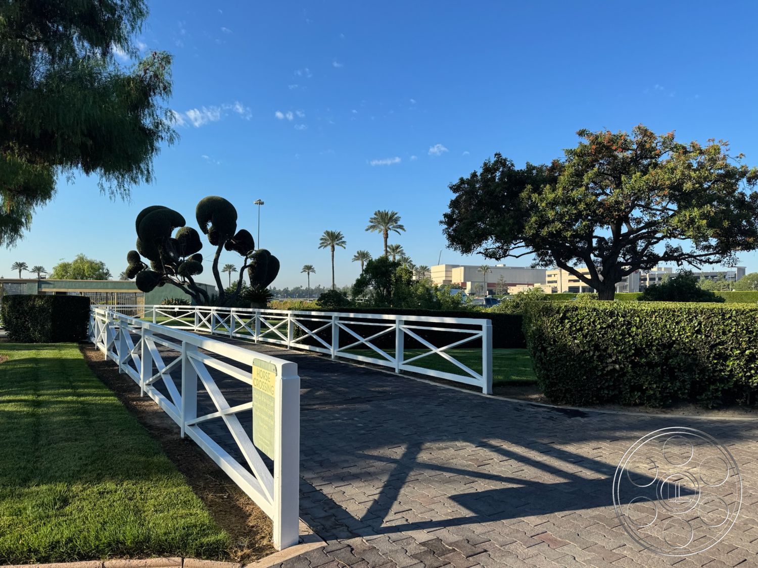 Arcadia Race Track - paved driveway with interlocking pavers, white wooden fence railings, manicured lawn with green grass, topiary shrubs in unique shapes, tall palm trees in the background, architectural signage for 'Horse Crossing', urban setting with city buildings view, sunny exterior with clear blue skies, landscaped gardens with low hedges, hardscaped pathway leading to entrance, visible shadows cast by trees and fence