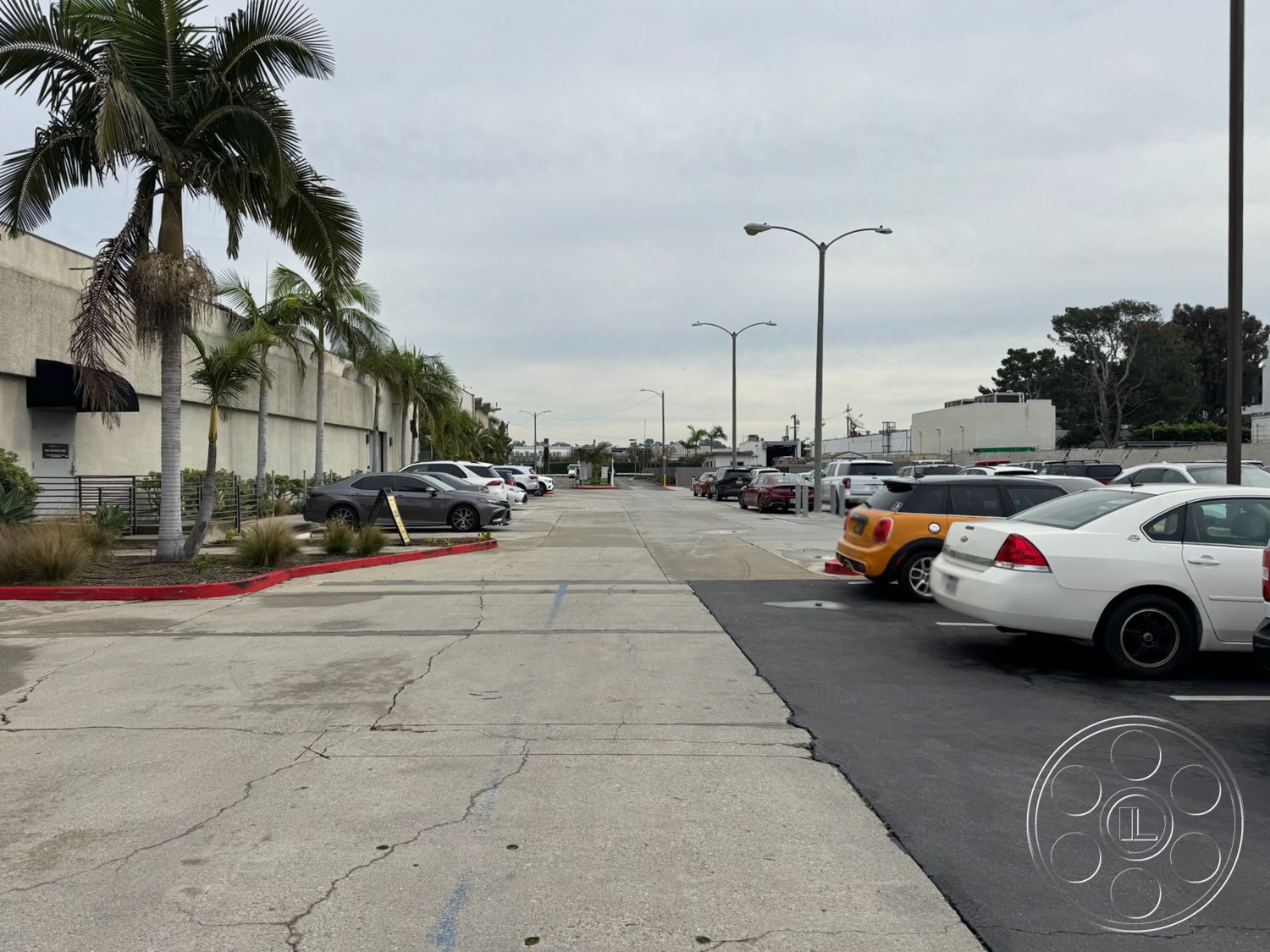 HW Hangar - paved driveway, urban setting, adjacent roadway, exterior parking lot, landscape with palm trees, concrete parking lot surface, commercial building facade, striped parking lines, curved sidewalk path, streetlight pole details, neatly organized car rows, parking lot plants, overcast sky, flat surface areas, vehicular access routes