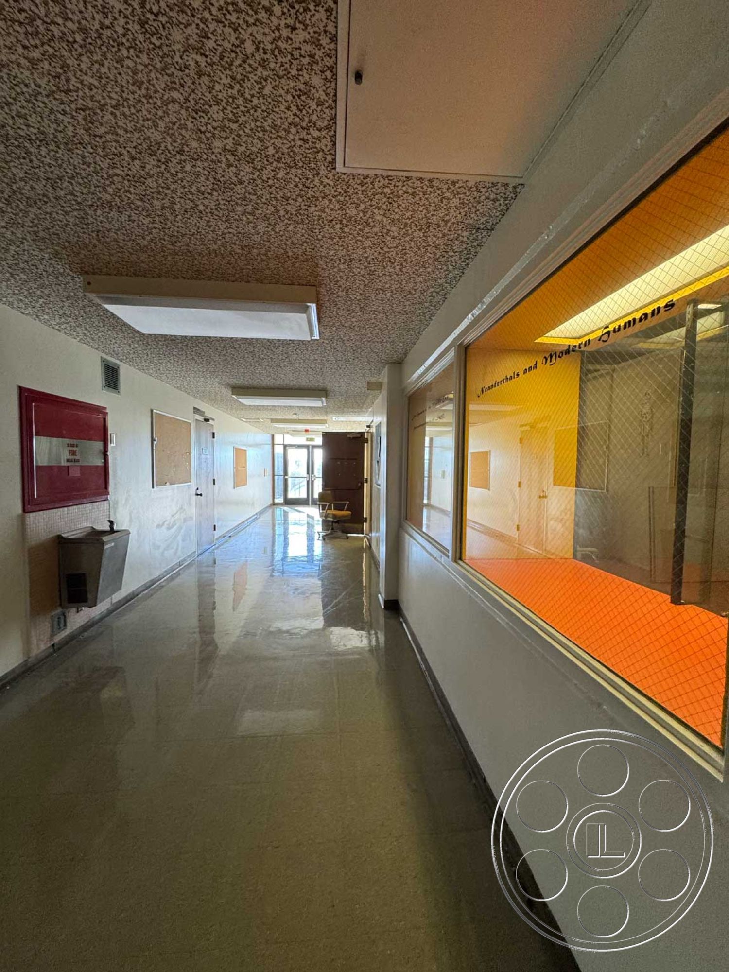 Old School - polished tile flooring, smooth wall surfaces, glass partition walls, interior hallway, white painted walls, linear hallway layout, drop ceiling with acoustic tiles, fluorescent ceiling lights, modern institutional design, red fire alarm box, corridor with large windows, vinyl wall protection, hospital or school interior