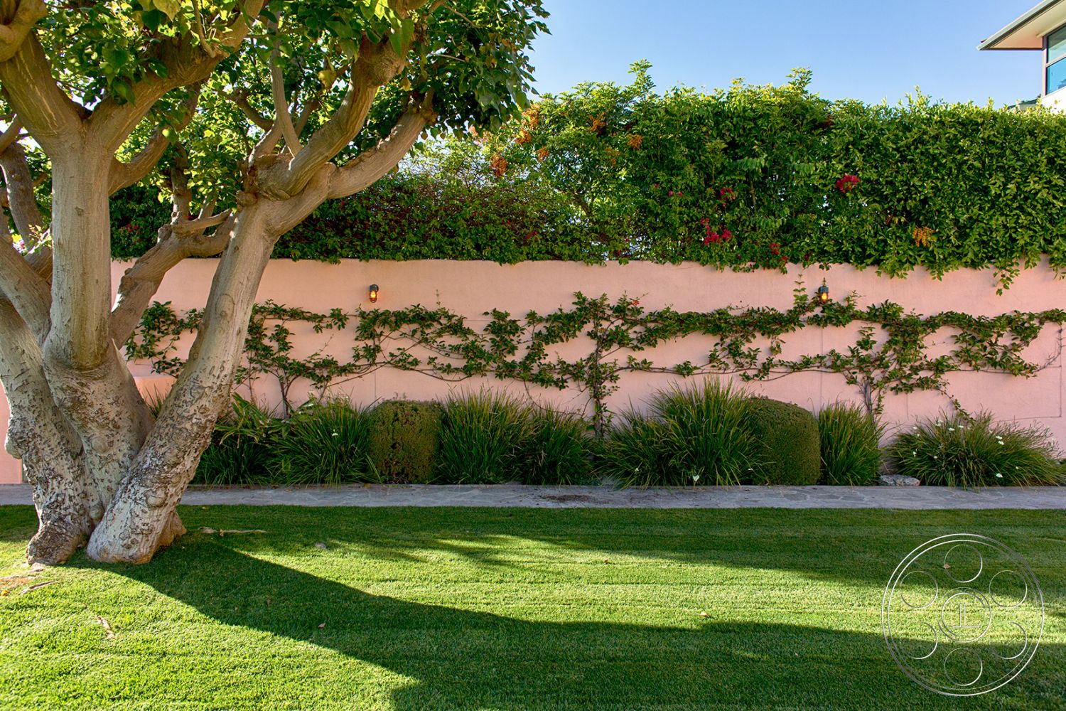 The Pink Beach House
