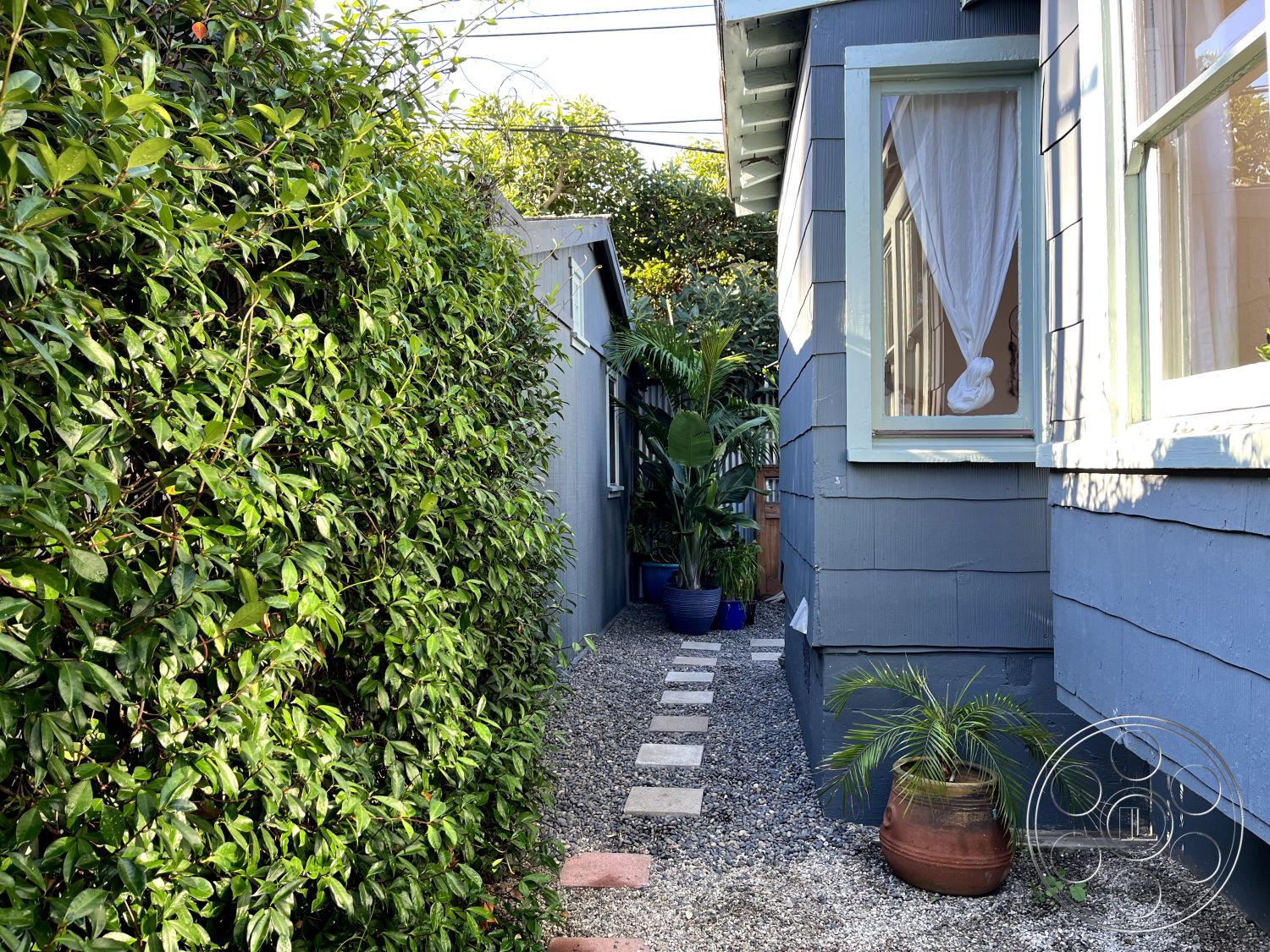 Craftsman 56 - exterior, gravel walkway, textured wall surfaces, lush green hedges, stepping stone path, natural light through window, urban garden setting, narrow side yard, enclosed garden space, adjacent building, cozy outdoor atmosphere, blue wood panel siding, potted palm plants, decorative blue planters, white sheer window curtains, brick and stone border, residential home exterior