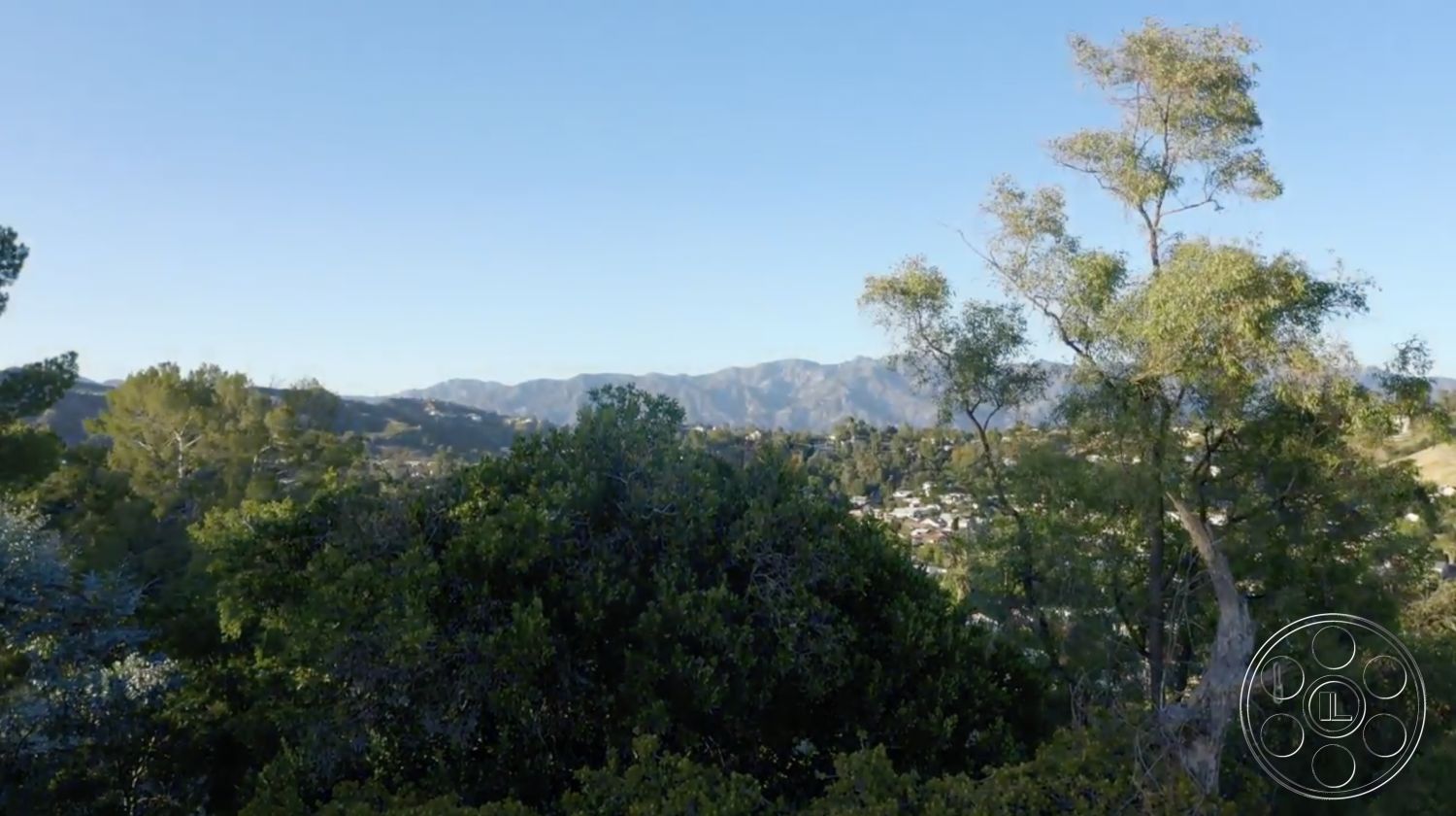 Exotic 36 - residential neighborhood, clear blue sky, scenic landscape, hillside location, lush green trees, rural backdrop, mountain view setting, distant mountain range, outdoor natural environment, exterior foliage