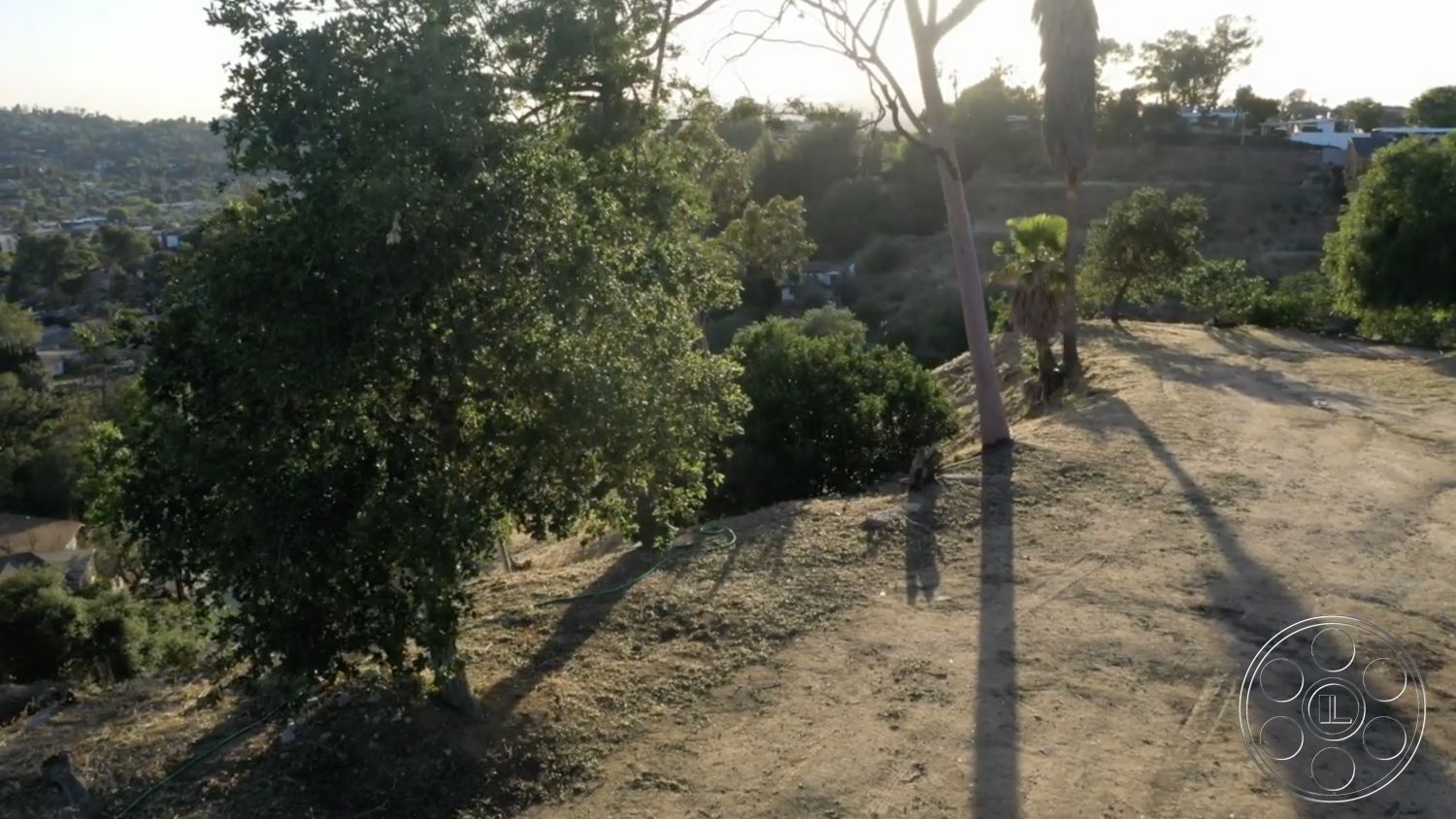 Exotic 36 - exterior, clear sky, surrounding greenery, sloping terrain, hillside location, natural landscape setting, shadow play from trees, dry soil texture, urban skyline view in distance, mixed tree types, sunlight illumination, gentle terrain slope