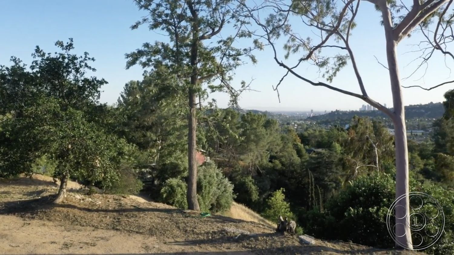 Exotic 36 - lush greenery, urban skyline view, clear blue sky, rocky terrain, dense foliage, hillside location, scattered trees, eucalyptus trees, natural landscape setting, sunlit outdoor area, soft earth ground, wild shrubbery, slope gradient