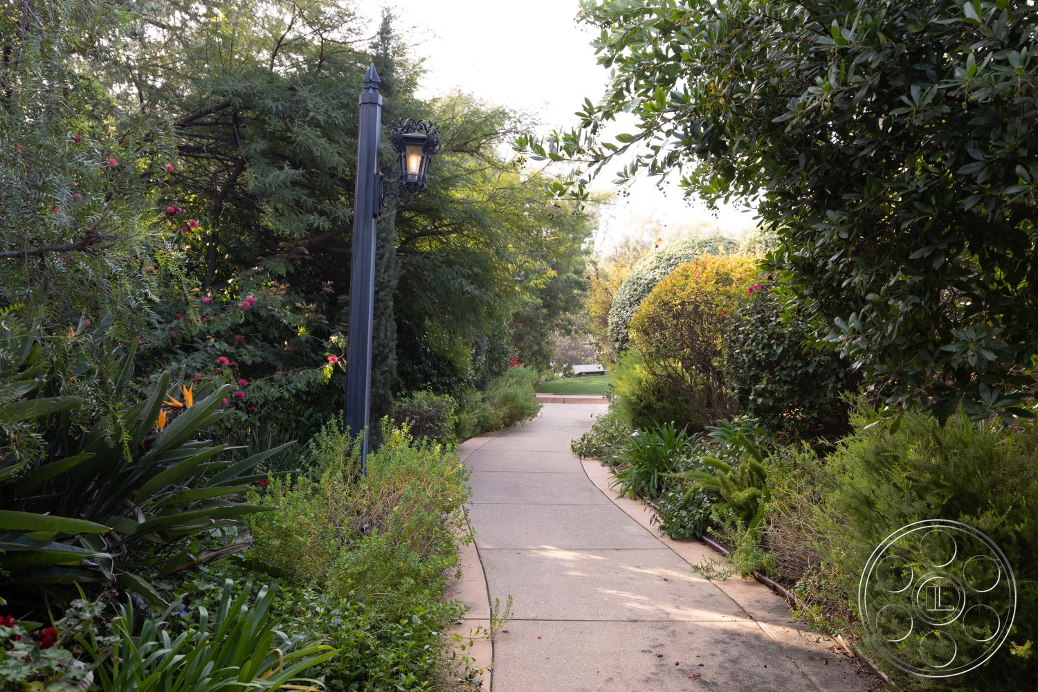 Mansion 145 - natural stone accents, tropical plants, curved pathway, concrete pathway, textured concrete surface, maintenance-free landscaping, seasonal blooms, lush garden setting, exterior garden, landscape lighting fixture, pathway bordered by flowering shrubs, variety of greenery and plants, park-like atmosphere, softly lit pathway