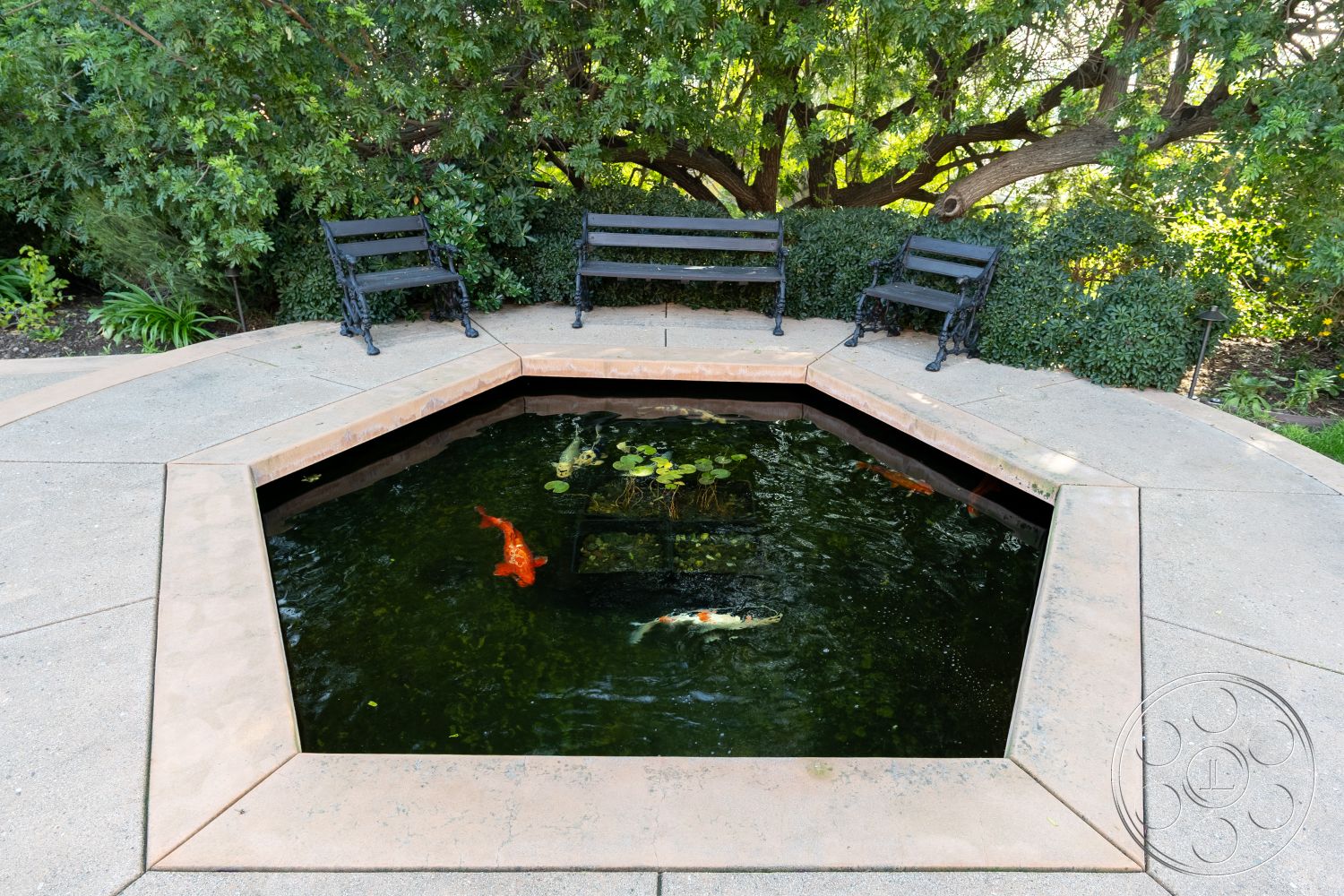 Mansion 145 - outdoor seating area, lush garden landscaping, concrete pond border, textured concrete patio surface, octagonal fish pond with koi, black metal outdoor bench seating, surrounding greenery with shrubs, natural environment setting, tranquil garden patio, exterior space with water feature