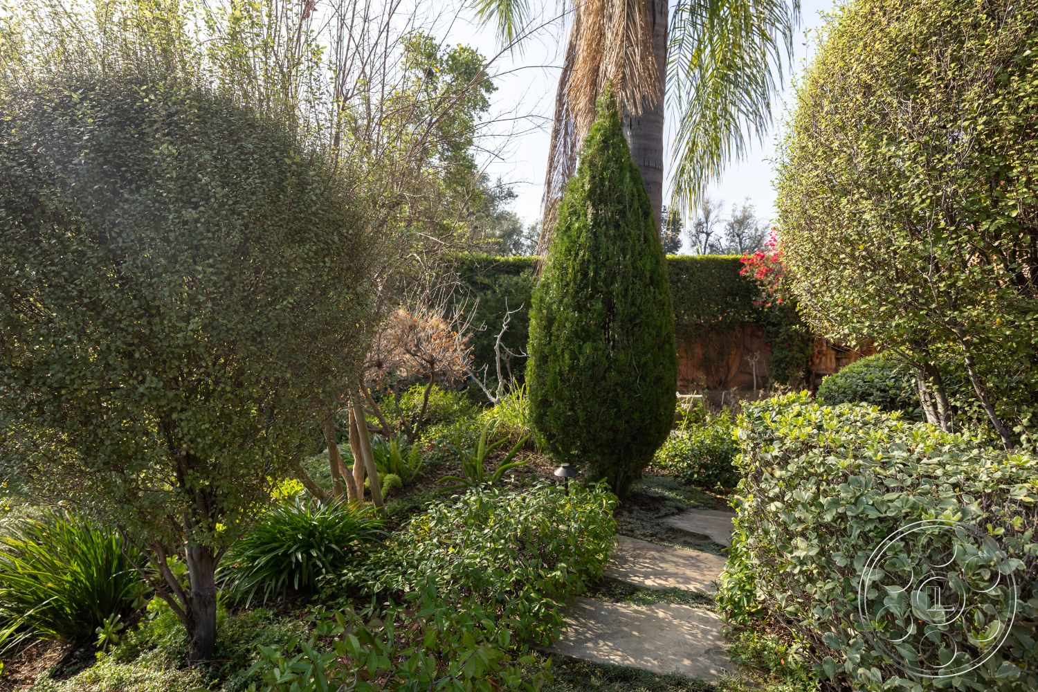 Mansion 145 - flowering shrubs, residential backyard, tall palm trees, soft earth tones, sunlit environment, lush green foliage, stone stepping path, exterior garden setting, urban garden space, cone-shaped evergreen shrubs, rounded leaf hedges, natural landscape design