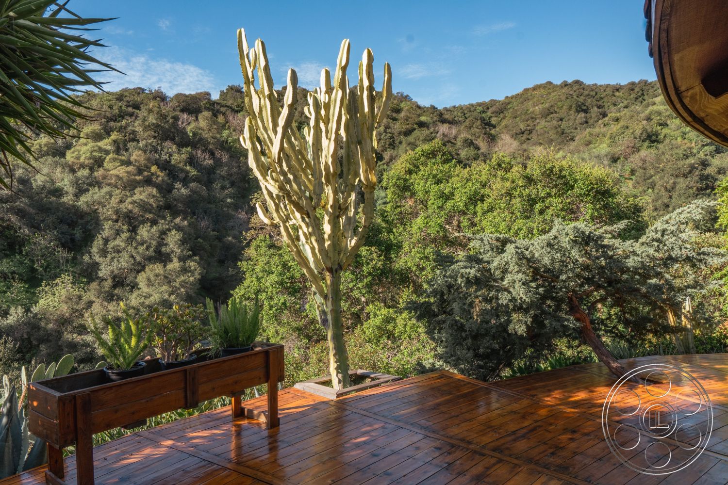 Pad 90210 - outdoor living space, natural wood finish, mountain view setting, exterior wood deck, sunny outdoor patio, eco-friendly design elements, landscape with native plants, wood railing details, surrounding hillside vegetation, natural wood planters, modern rustic architecture