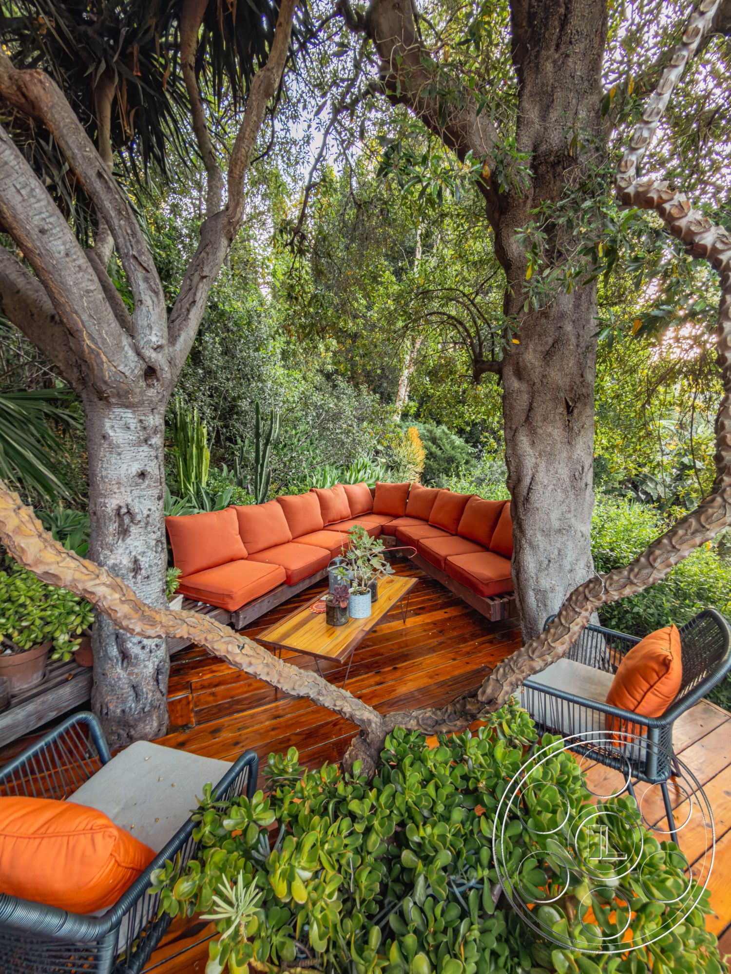 Pad 90210 - wooden coffee table, surrounded by lush greenery, potted succulent plants, interior garden patio, built-in wooden bench seating, orange outdoor cushions, natural wood deck flooring, wooden railing details, open-air outdoor living space, curved outdoor seating area, exposed tree trunks as structural elements, organic landscape setting, surrounded by tropical plants, intimate garden nook
