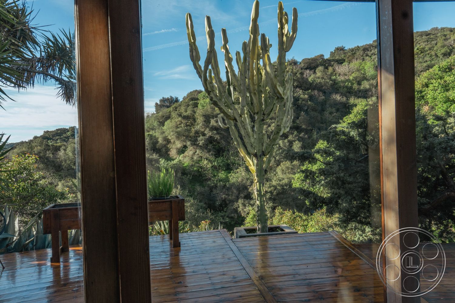 Pad 90210 - outdoor seating area, modern architectural style, open-air design, natural landscape view, exterior wood deck, interior wooden beams, surrounding lush greenery, floor-to-ceiling glass panels, sunny hillside location, exterior glass windows, interior polished hardwood flooring, cactus garden feature, west coast architectural influence