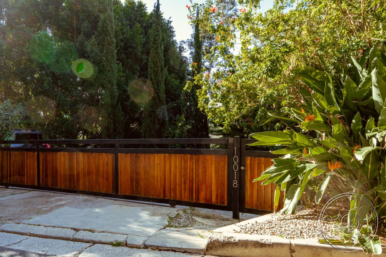 Pad 90210 - tall cypress trees, lush tropical landscaping, horizontal wood paneling, exterior wooden fence gate, black metal gate frame, concrete driveway with stone pavers, blooming bird of paradise plants, california residential setting, sunlit entrance area, privately landscaped yard