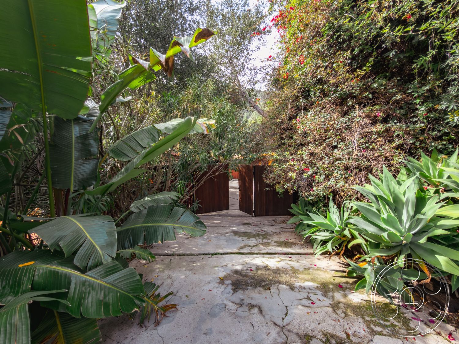 Pad 90210 - lush tropical landscaping, textured concrete surface, natural stone border, exterior concrete pathway, private garden setting, secluded outdoor space, exposed wooden doors, variety of flowering shrubs, tall green palm leaves, dense foliage entrance, rustic wood gates, overgrown garden path, vibrant green agave plants, ground-level entryway, surrounding urban oasis, botanical courtyard