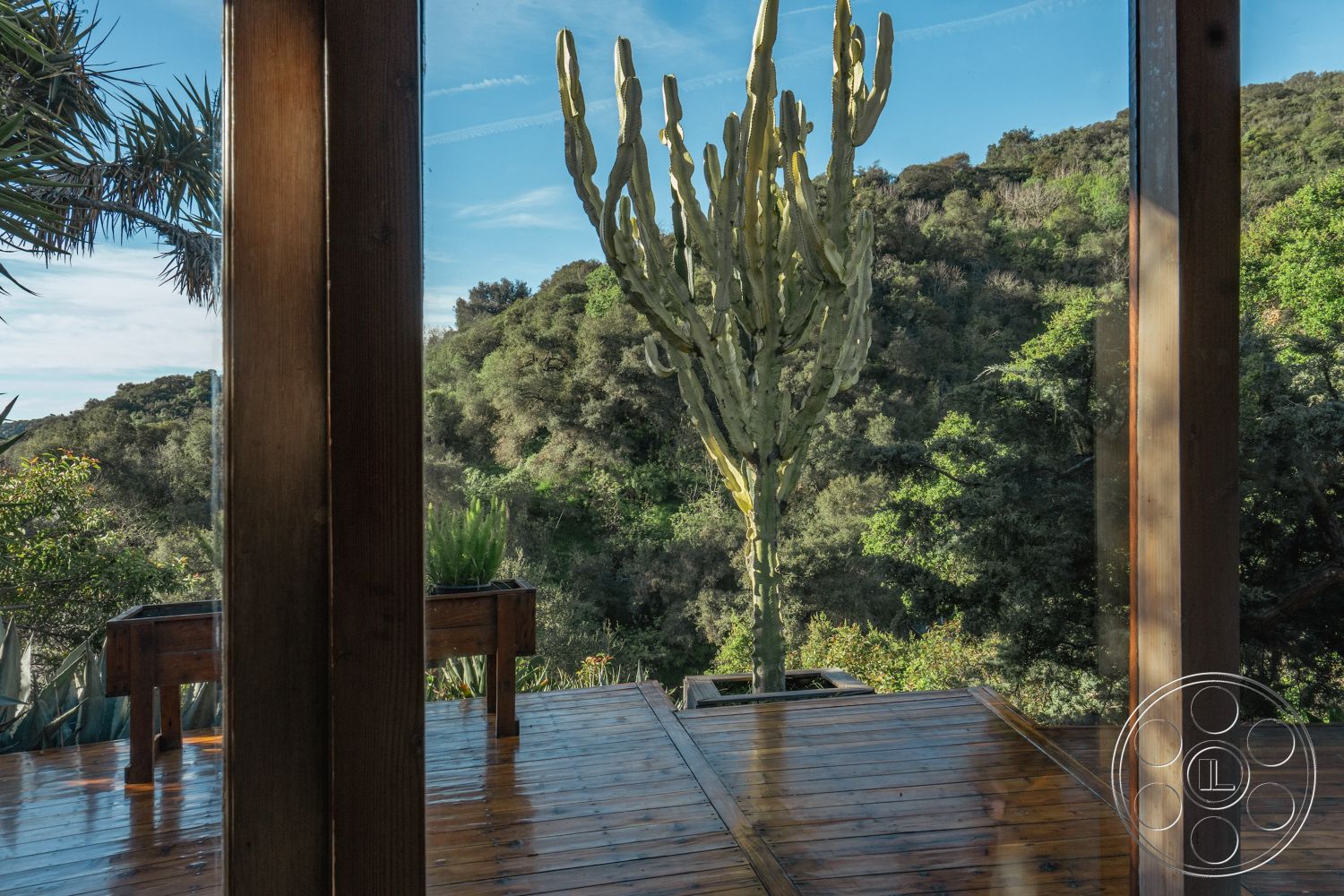 Pad 90210 - open floor plan, natural wood materials, clear blue sky, sustainable building materials, contemporary architectural style, exterior wood deck flooring, surrounding forest setting, sunlit living space, rustic outdoor seating area, tropical plant landscaping, modern cabin design, panoramic mountain view, glazed glass windows, exterior wooden support beams, elevated deck platform