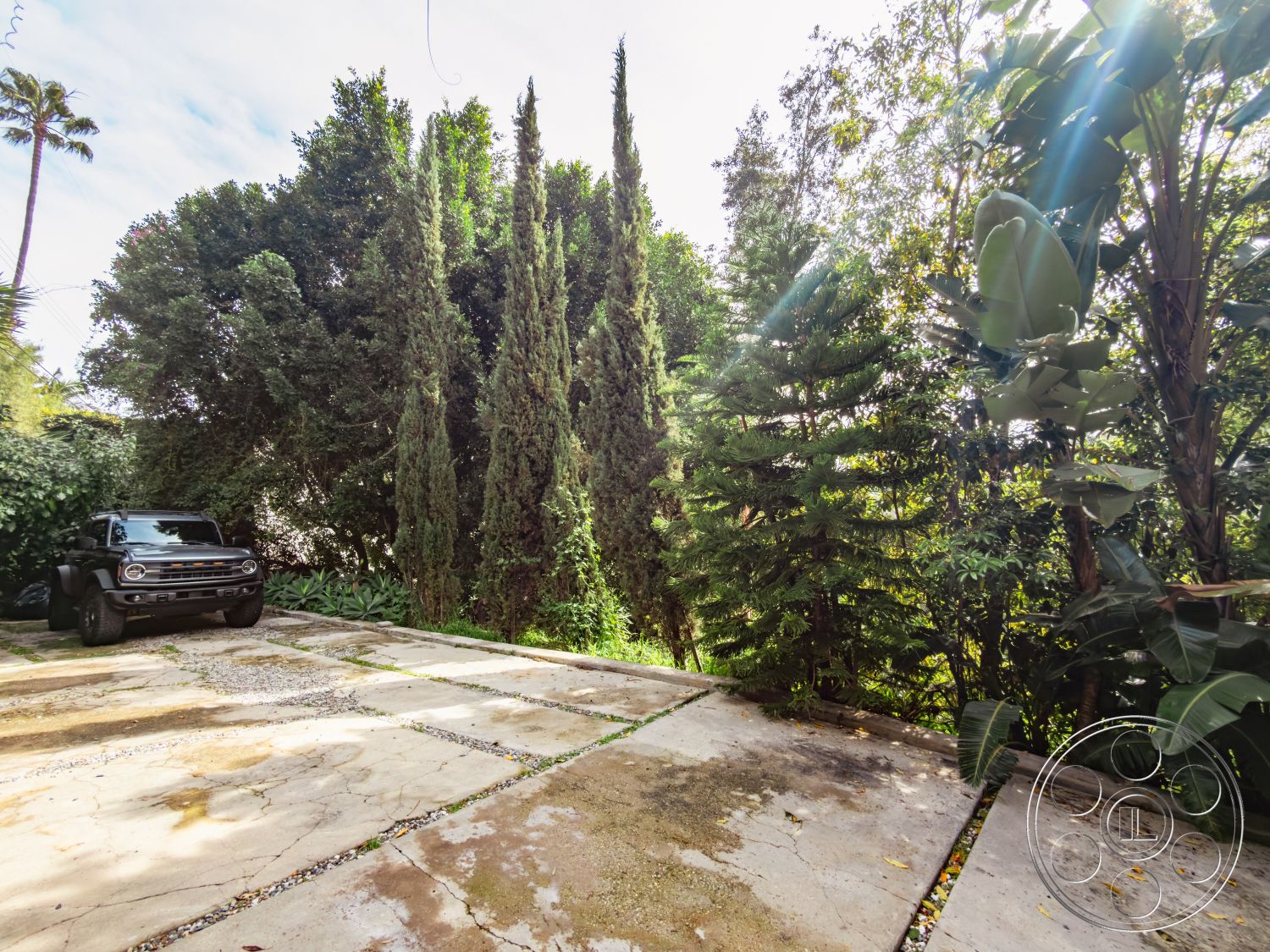 Pad 90210 - natural light, urban setting, tall cypress trees, lush tropical landscaping, suburban backyard, exterior concrete driveway, flat concrete surface, textured concrete pavers, gravel border around driveway, vehicle parking space